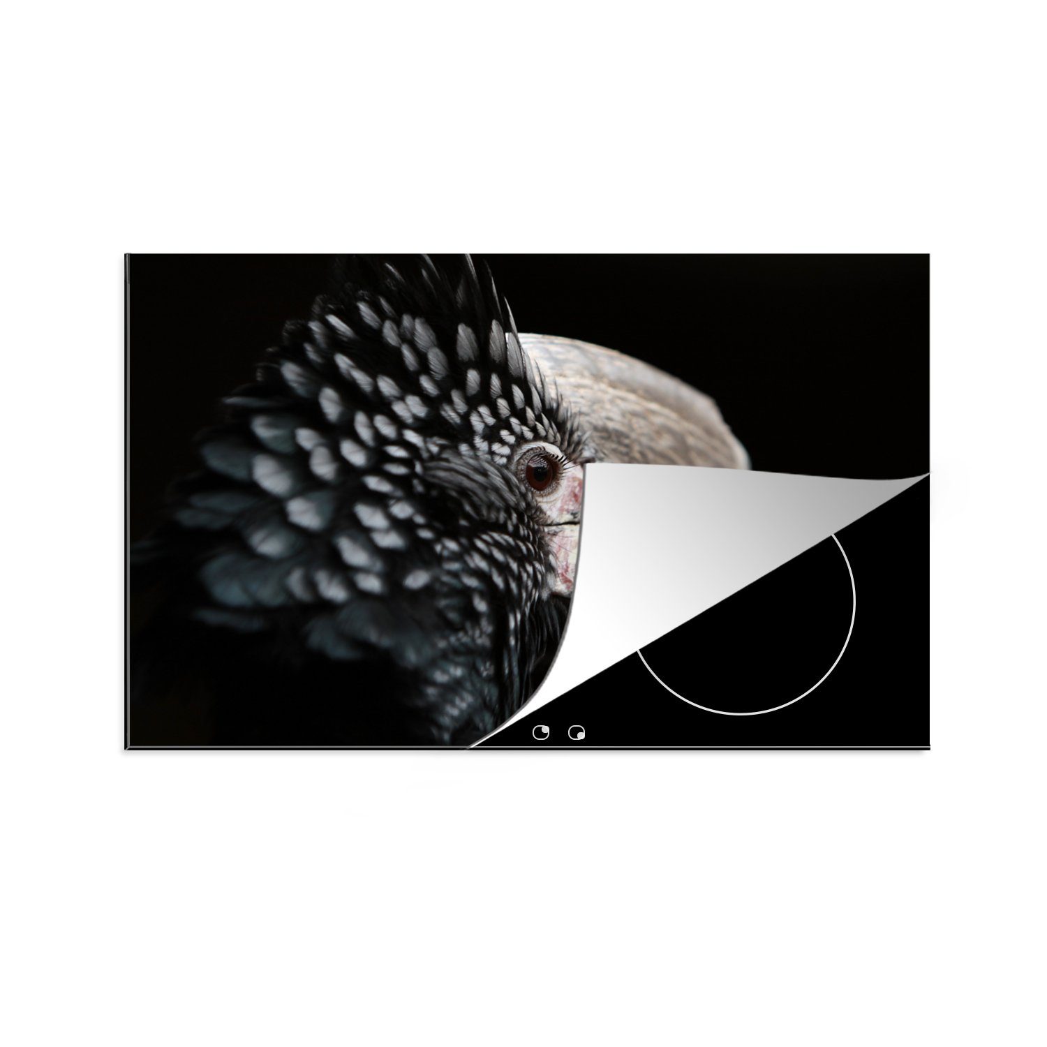 MuchoWow Herdblende-/Abdeckplatte Vogel - Schnabel - Federn, Vinyl, (1 tlg), 81x52 cm, Induktionskochfeld Schutz für die küche, Ceranfeldabdeckung