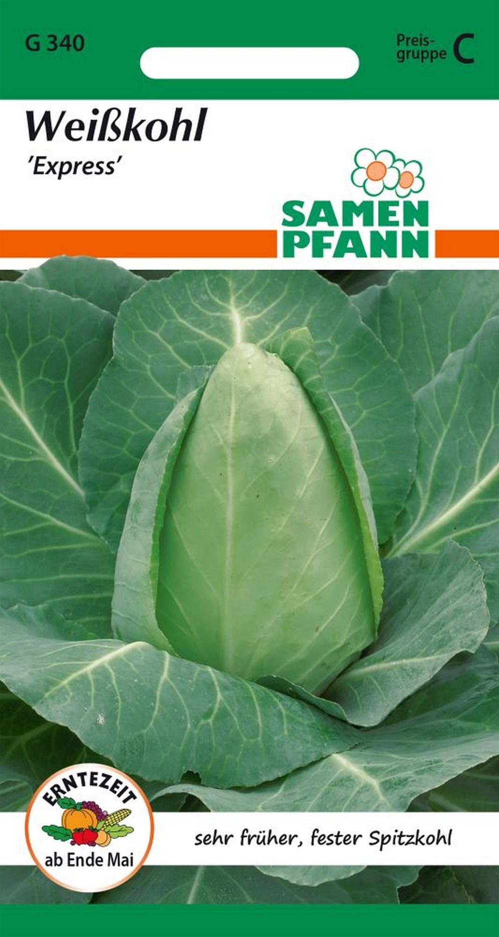 SAMEN PFANN Gemüsesamen Weißkohl, Filderkraut, Spitzkohl, Express - Saatgut Samen, Brassica oleracea