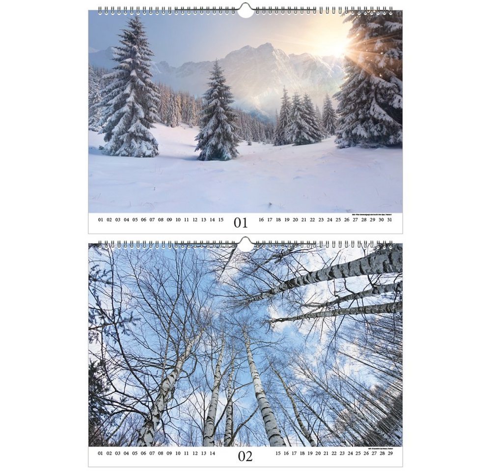 Thumbnail - Seelenzauber ewige Kalender Baumzauber DIN A3 - Immerwährender Kalender Baum, Bäume und Wald -