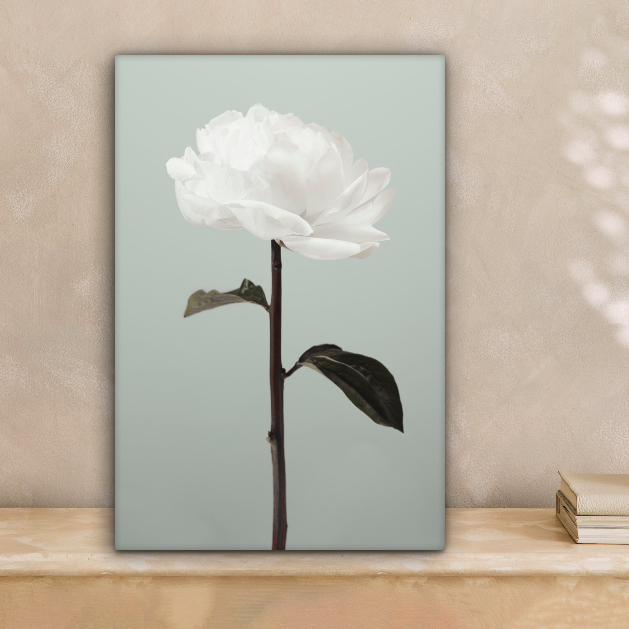 OneMillionCanvasses® Leinwandbild Blumen - Rose - günstig online kaufen