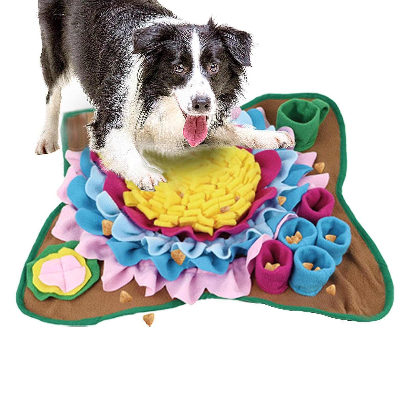 Ledander Tier-Intelligenzspielzeug Tier-Intelligenzspielzeug Schnüffelteppi günstig online kaufen