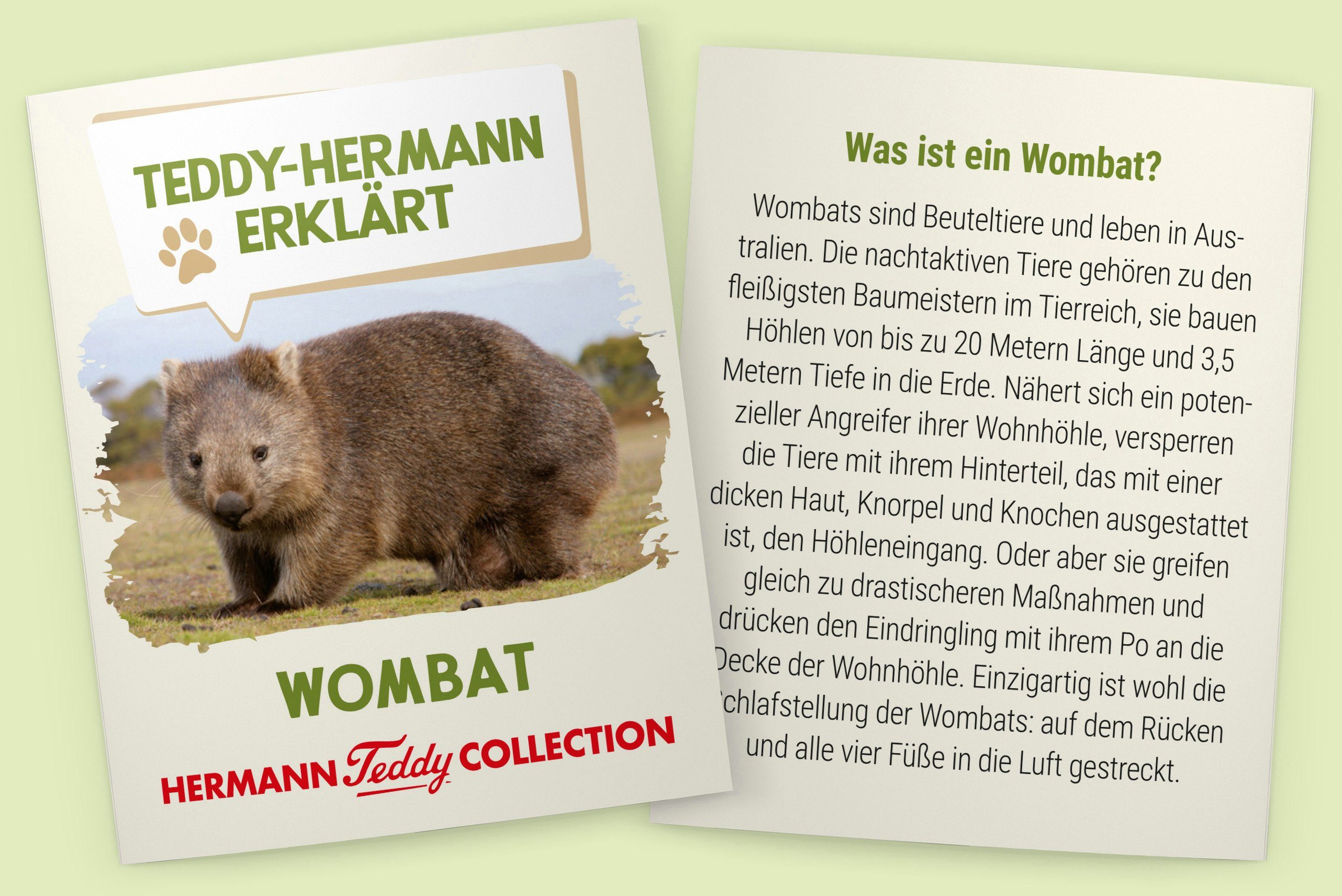 Teddy Hermann® Kuscheltier Wombat, 26 cm, zum Teil aus recyceltem Material