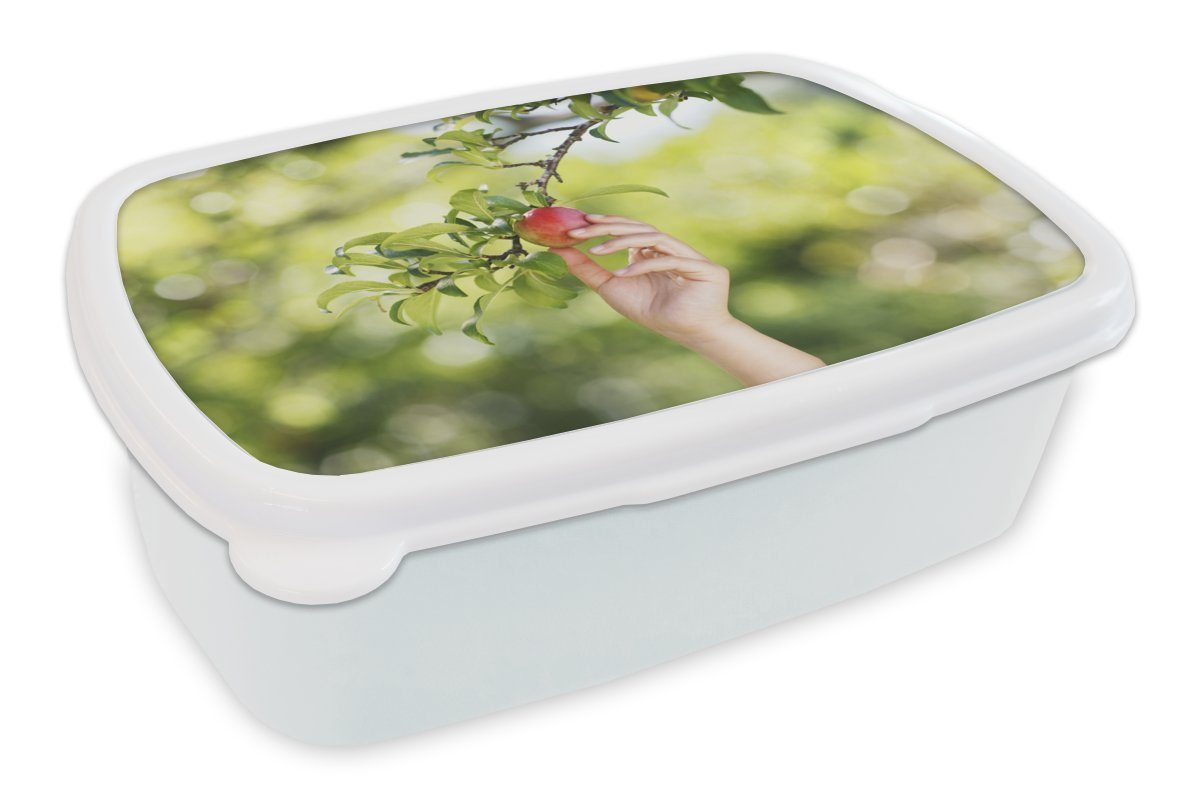 MuchoWow Lunchbox Obstbäume - Gemüsegarten - Apfel, Kunststoff, (2-tlg), Brotbox für Kinder und Erwachsene, Brotdose, für Jungs und Mädchen weiß