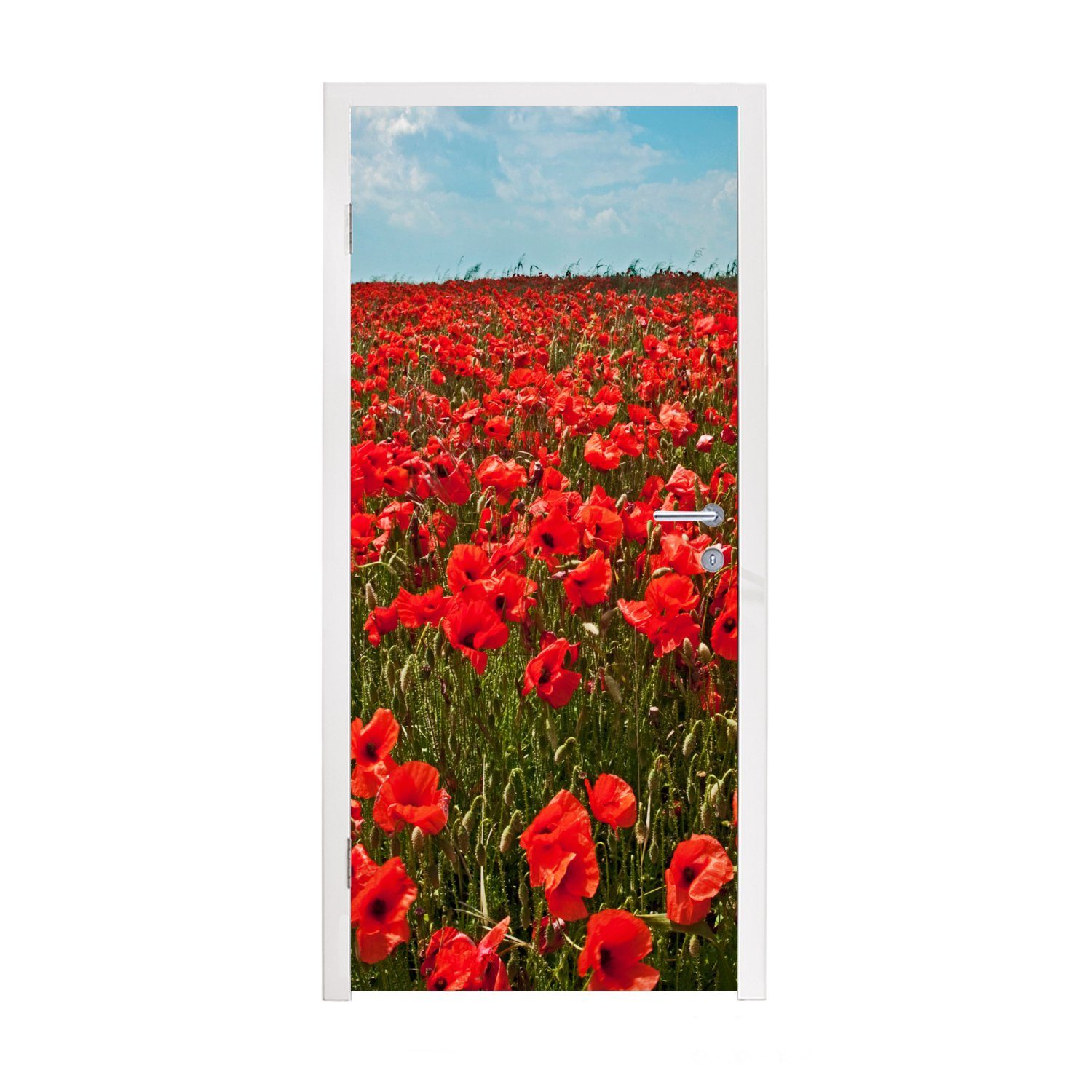 MuchoWow Türtapete Eine Wiese voller Mohnblumen, Matt, bedruckt, (1 St), Fototapete für Tür, Türaufkleber, 75x205 cm