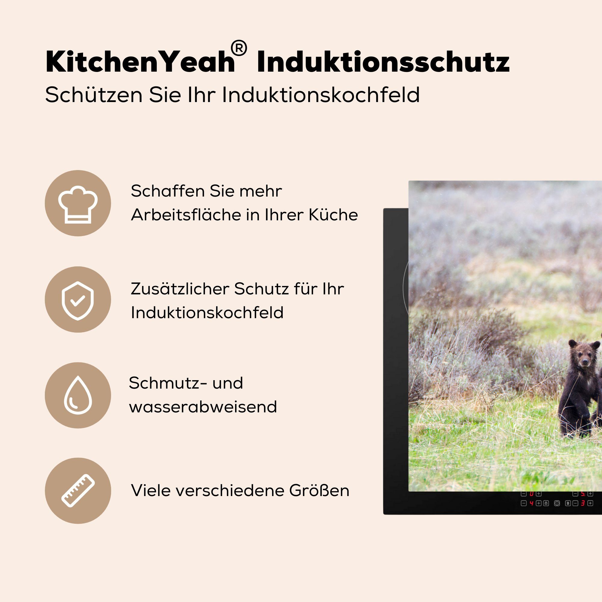 Gras, Vinyl, cm, - Junge die Ceranfeldabdeckung - (1 81x52 MuchoWow Induktionskochfeld küche, Grizzlybär Schutz tlg), für Herdblende-/Abdeckplatte