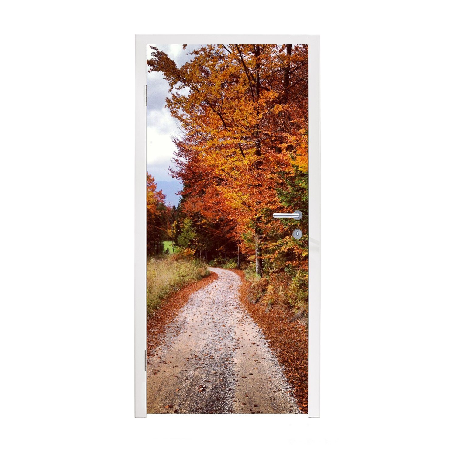 MuchoWow Türtapete Herbst - Herbstblätter - Weg - Wald, Matt, bedruckt, (1 St), Fototapete für Tür, Türaufkleber, 75x205 cm