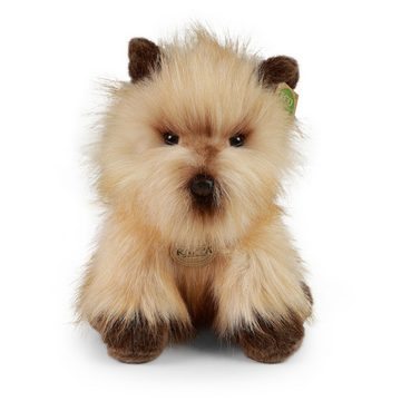 Teddys Rothenburg Kuscheltier Kuscheltier Cairn Terrier braun sitzend 30 cm Plüschhund