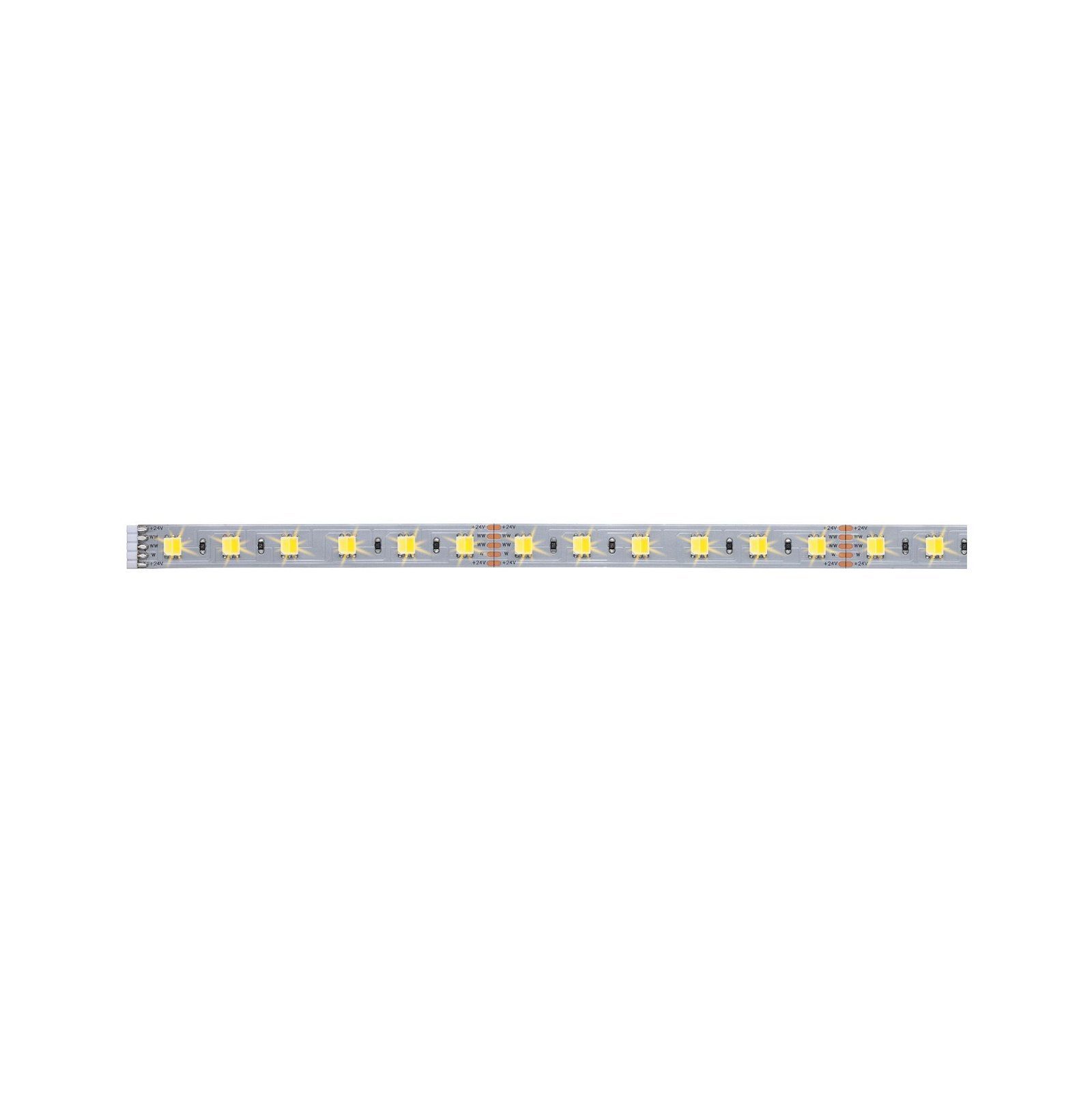 Paulmann LED-Streifen MaxLED Stripe 1m 6,2W 24V Silber Kunststoff, 1-flammig, TunableWhite