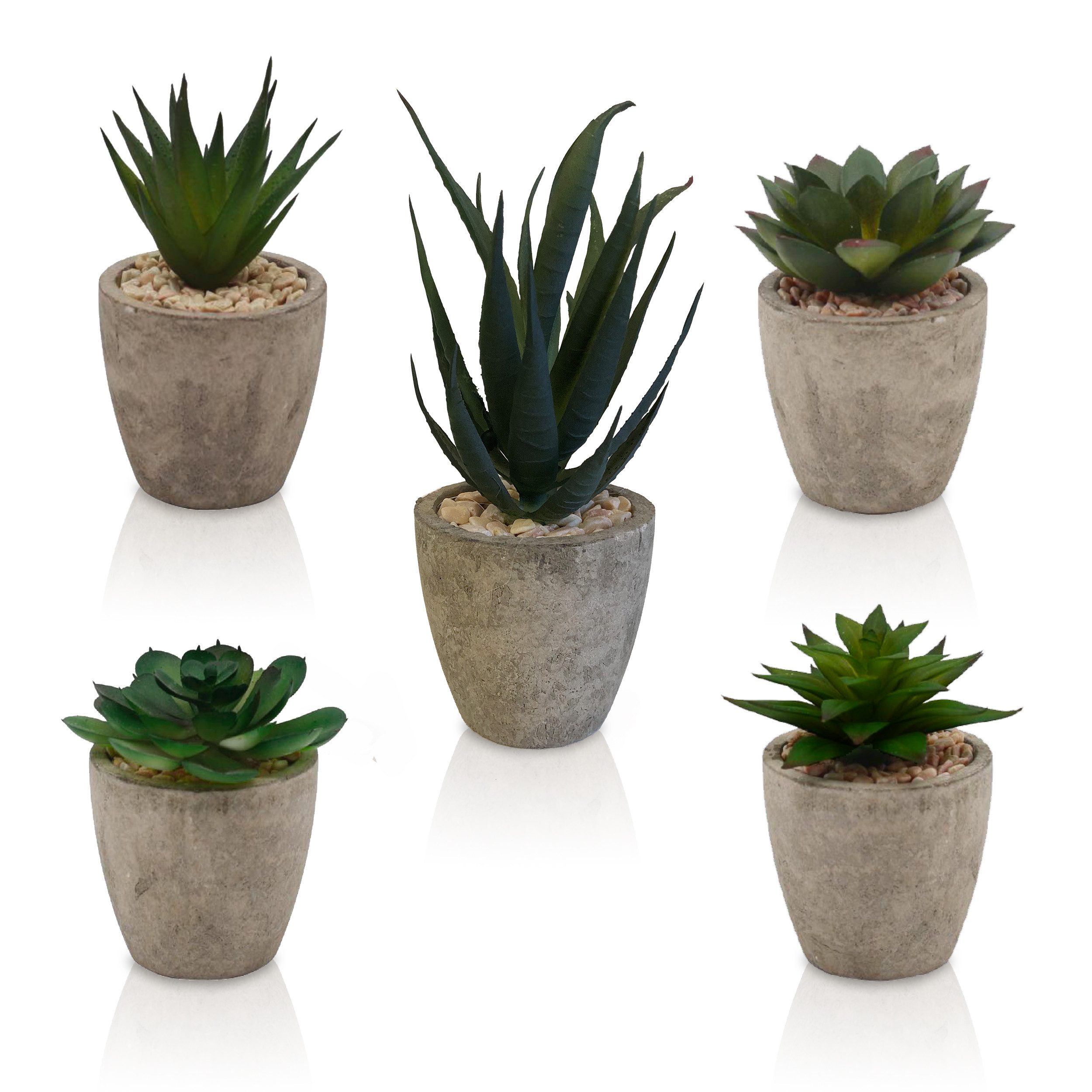 Kunstpflanze Dekorationspflanzen 5er Set, künstliche Zimmerpflanzen - Sukkulenten Kunstpflanze, TOREDOO. € 24,99