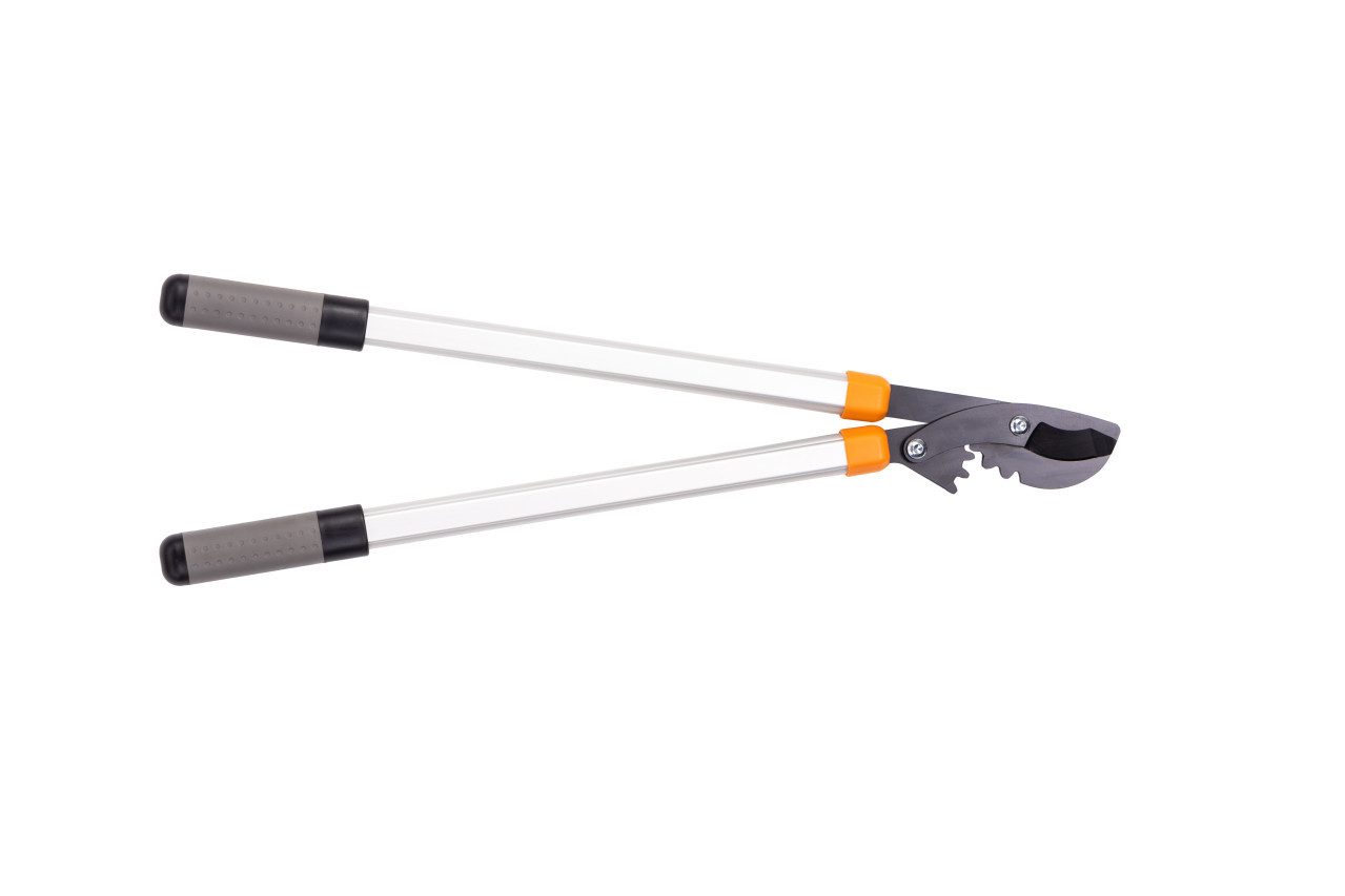 Astschere Primaster Getriebeastschere Bypass 75 cm lang