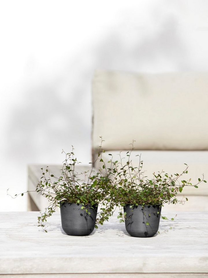 Thumbnail - ECOPOTS Blumentopf Oslo Mini 11,5 Dunkelgrau, für den Innenbereich