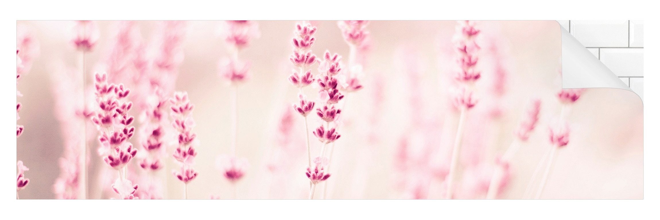 Bilderdepot24 Küchenrückwand rosa dekor Gräser Blumen Romantik Landhaus Zar günstig online kaufen