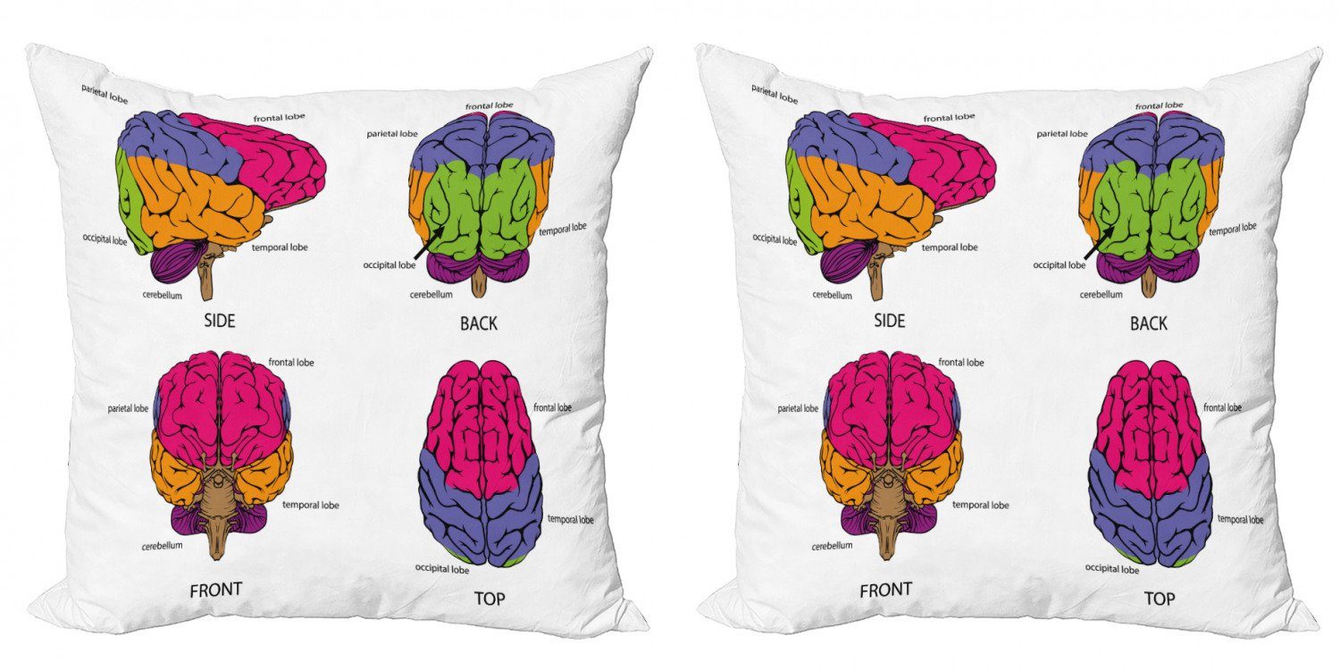 Doppelseitiger Kissenbezüge Brain Human (2 Abakuhaus Modern Stück), Digitaldruck, Lehrreich Colors Accent