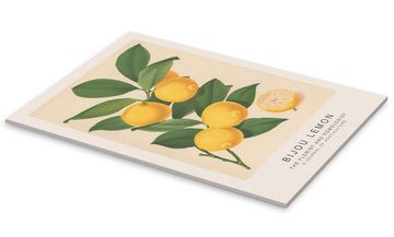 Posterlounge Acrylglasbild Walter Hood Fitch, The Florist and Pomologist - Bijou Lemon, Küche Modern Illustration
