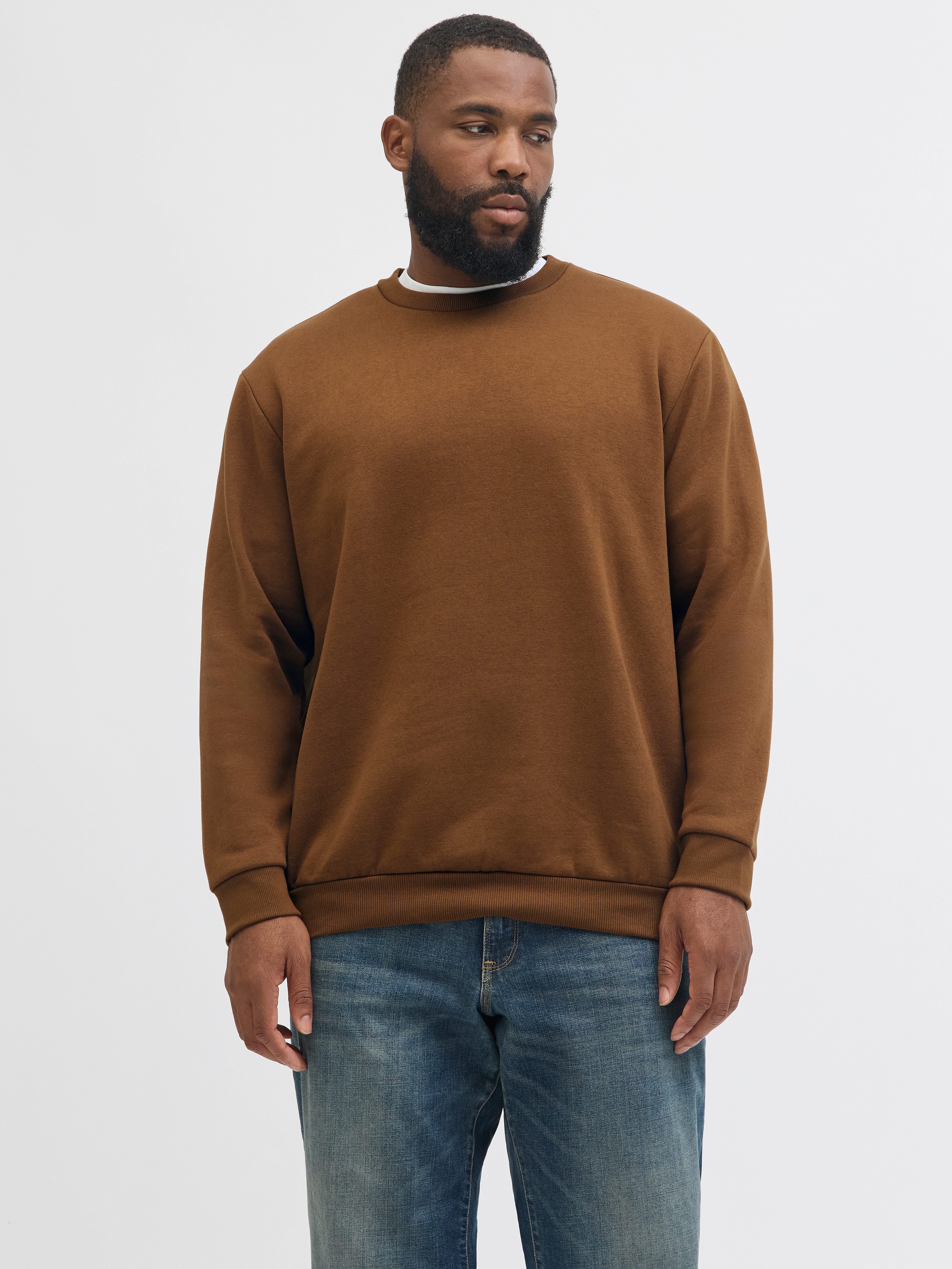 Jack & Jones PlusSize Sweatshirt JJEBRADLEY günstig online kaufen