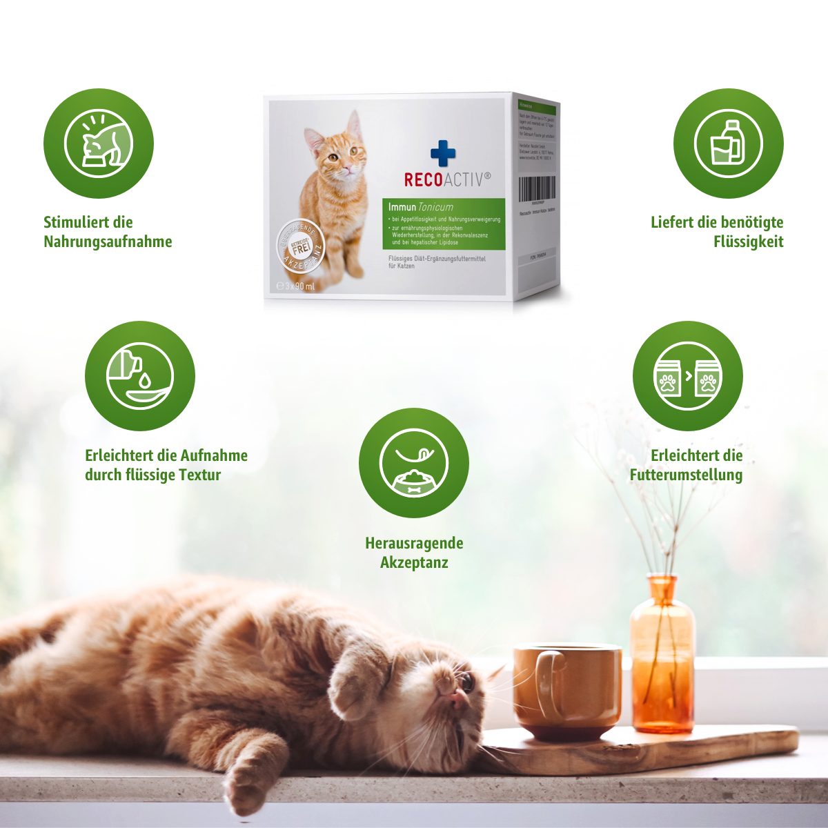 RECOACTIV Immun Tonicum, Ergänzungsfuttermittel für: Katze