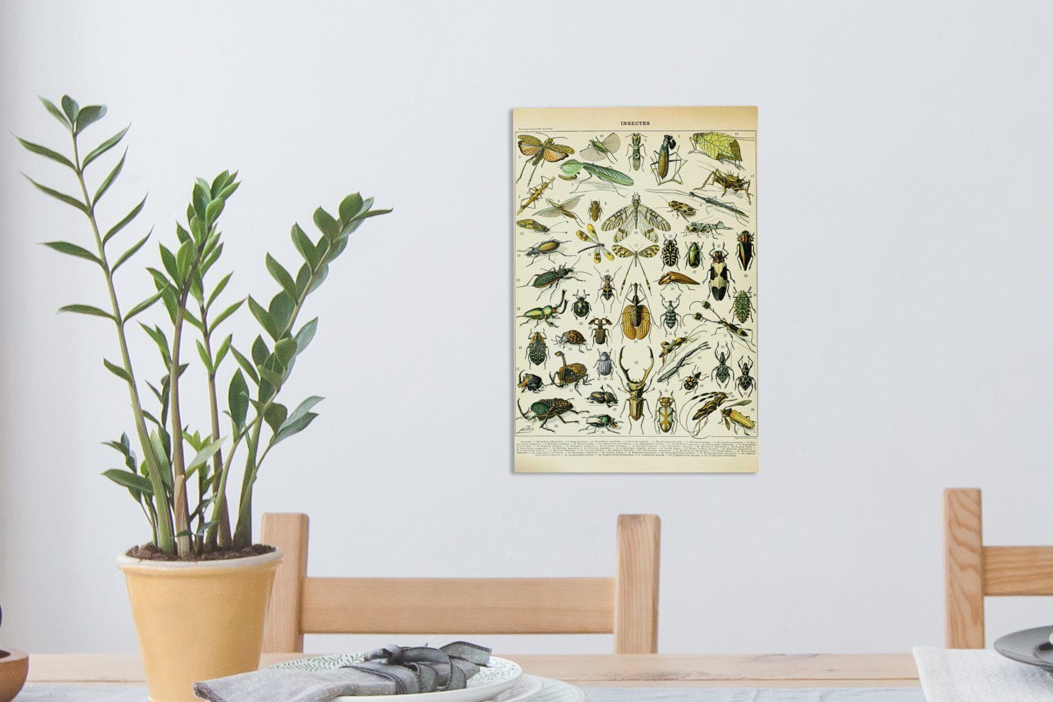 OneMillionCanvasses® Leinwandbild Zackenaufhänger, bespannt Leinwandbild fertig St), 20x30 Gestaltung, Tiere Gemälde, inkl. - cm (1 - Insekten