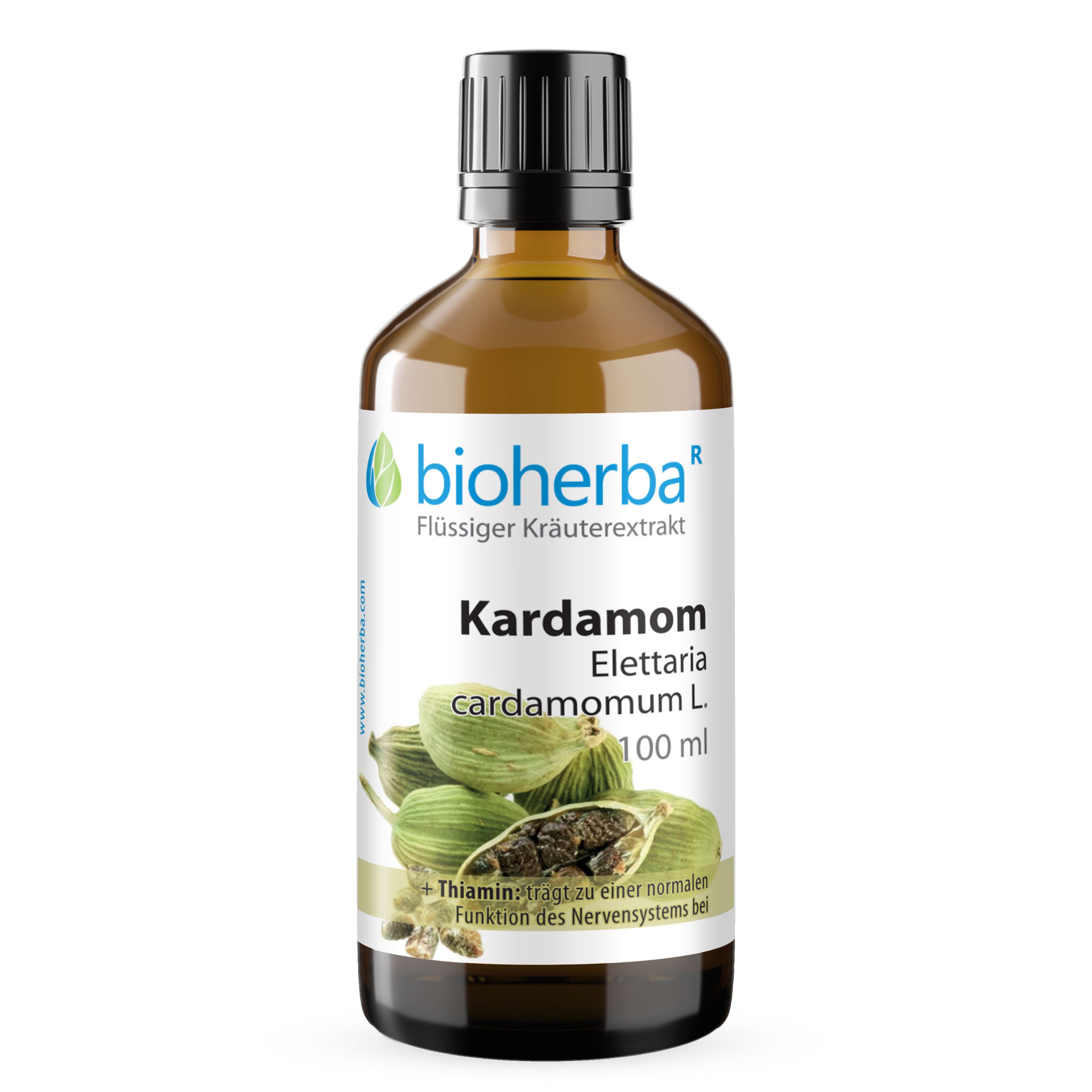 BIOHERBA R Bioherba Kardamom Elettaria cardamomum L. Tropfen Tinktur 100 ml Glasflasche, 1 er