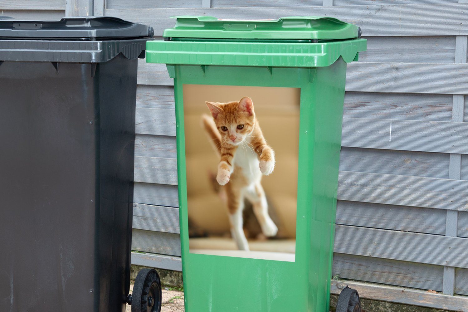 eines St), Nahaufnahme Kätzchens (1 Wandsticker Container, Sticker, MuchoWow Abfalbehälter Mülltonne, Mülleimer-aufkleber, springenden Eine