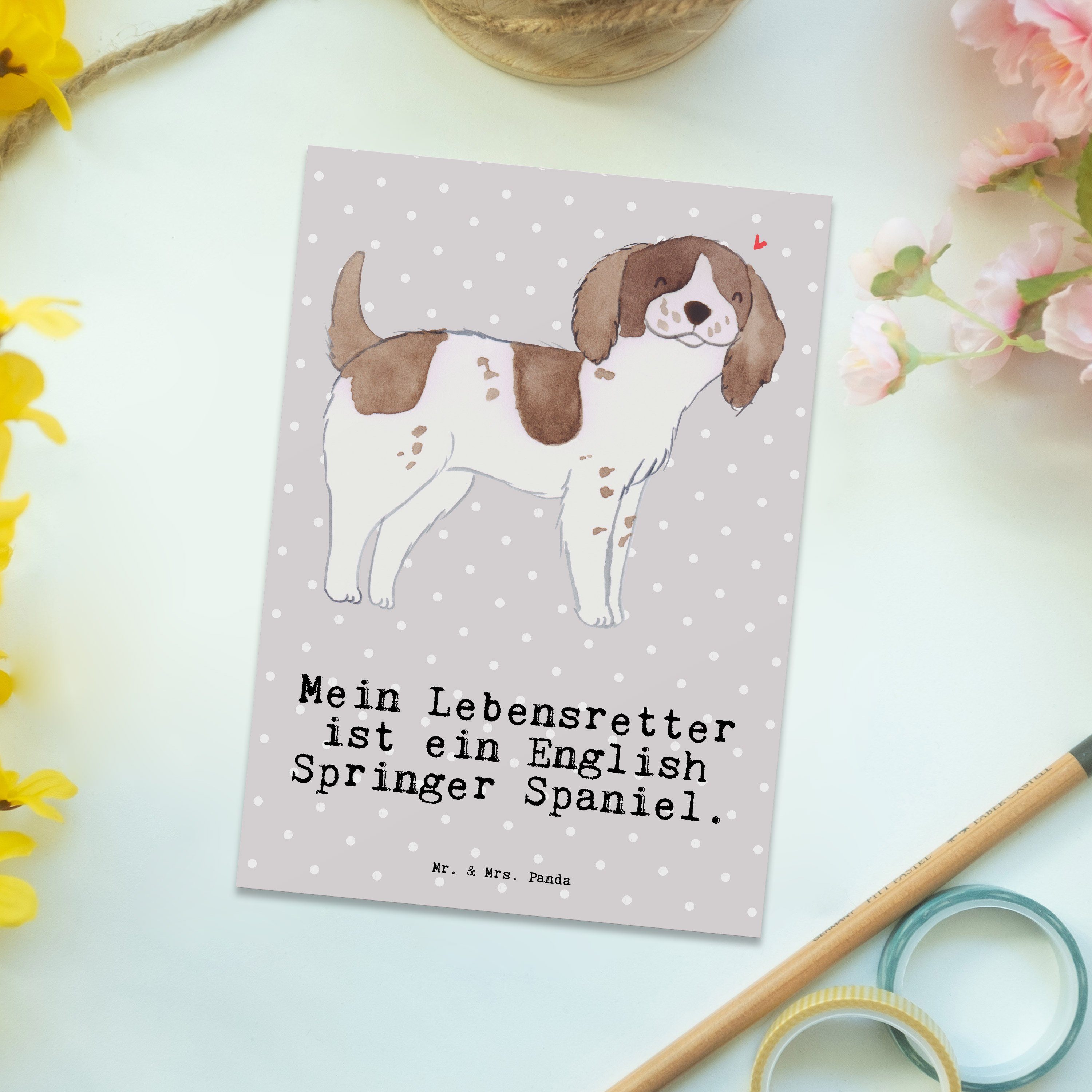 Spaniel & Hund - Grau English Postkarte Geschenk, Springer - Panda Lebensretter Mr. Mrs. Pastell