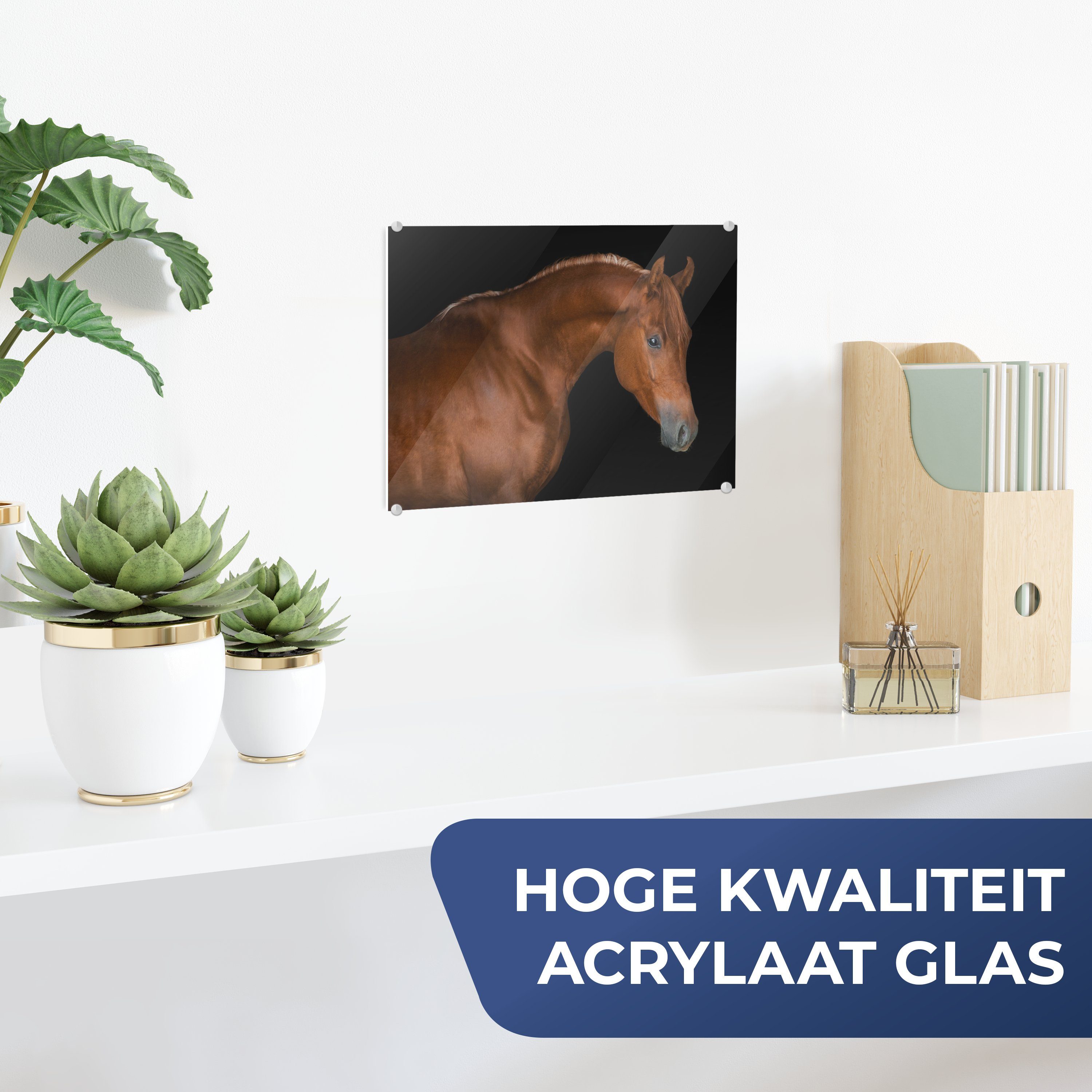 MuchoWow Acrylglasbild Pferd - Wanddekoration - (1 - Foto - Glas Bilder Glas auf Glasbilder auf St), Wandbild - Braun, Schwarz