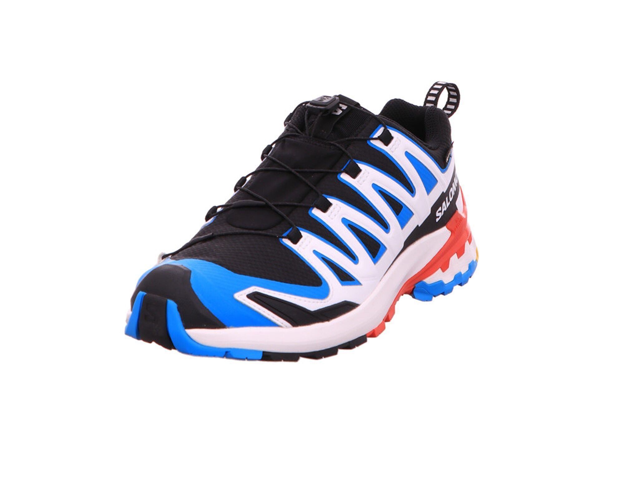 Salomon XA PRO 3D V9 GTX günstig online kaufen