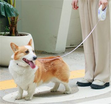 Dekorative Hundeleine Hundeleine,Hundeleine 3m Automatisch einziehbare Leine mit LED-Licht, für Spaziergänge bei Nacht, Laufen, Training, Joggen