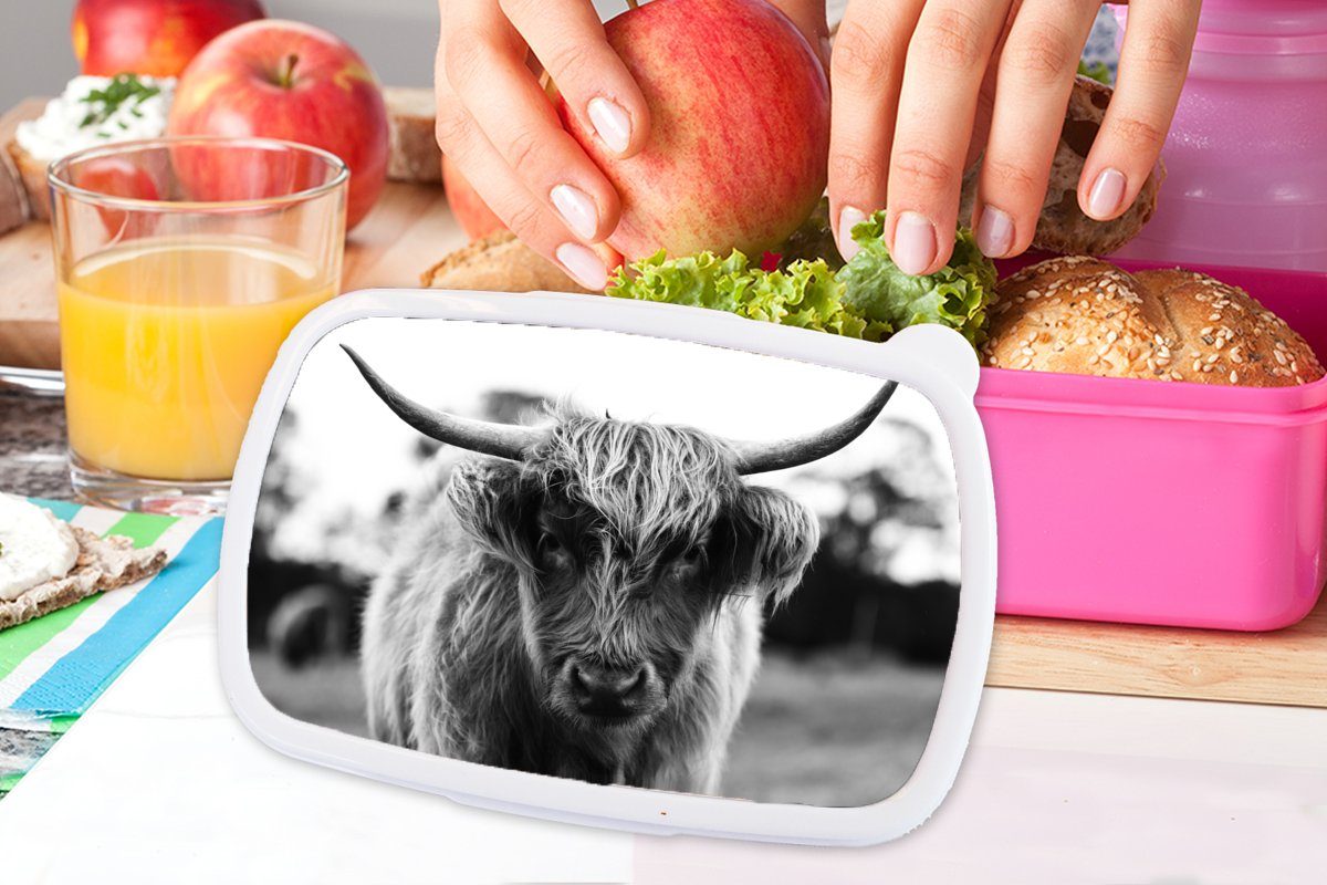 Kuh Kunststoff Erwachsene, Kunststoff, MuchoWow für Gras - Schottischer Kinder, Lunchbox - Brotbox Natur, - - Snackbox, Tiere (2-tlg), rosa Highlander Mädchen, Brotdose