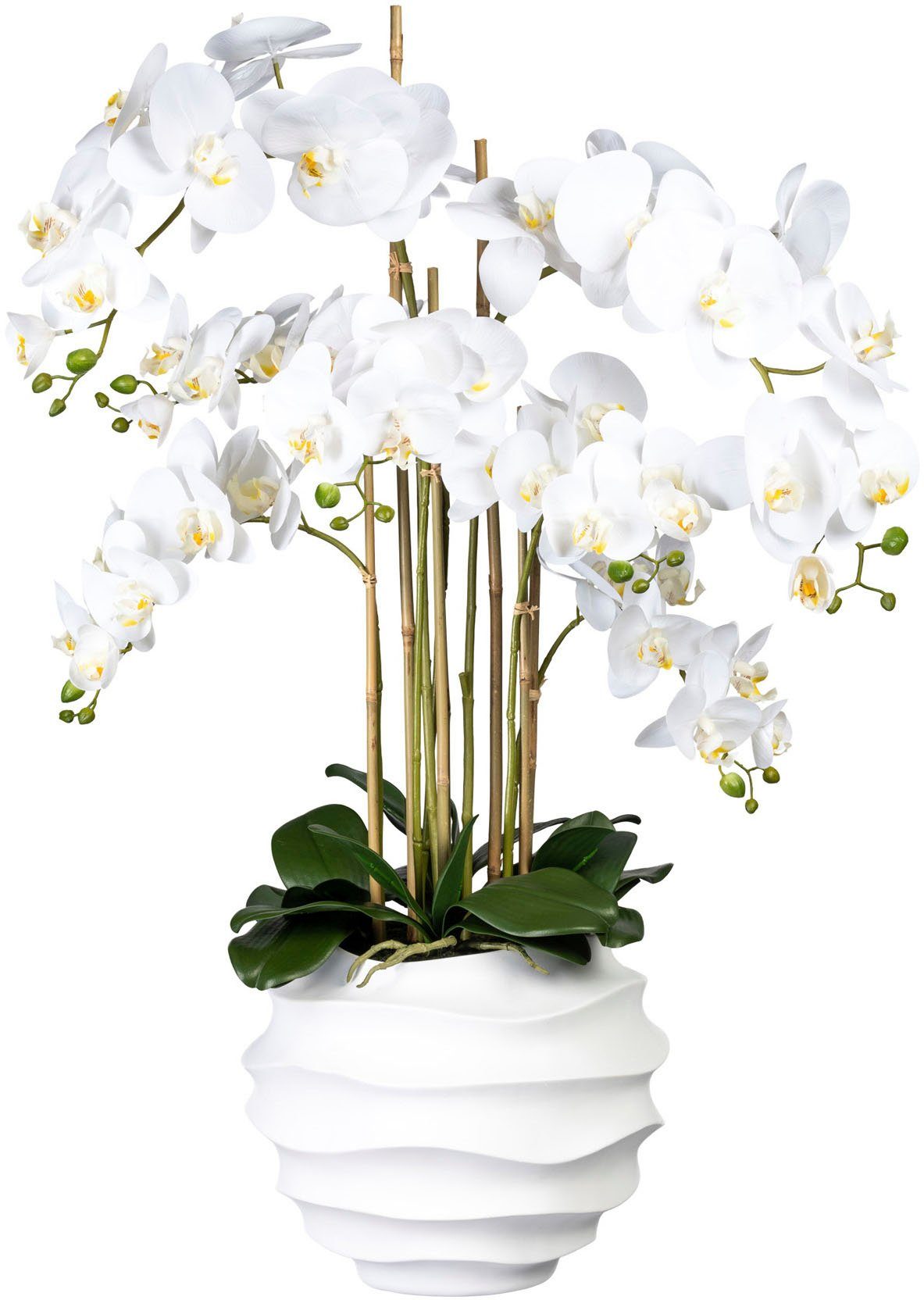 cm, Design-Kunststoffvase, Kunstorchidee 95 Phalaenopsis, Orchidee verwendbar in pflegeleicht vielseitig green, und Höhe Creativ Phalaenopsis Langlebig,