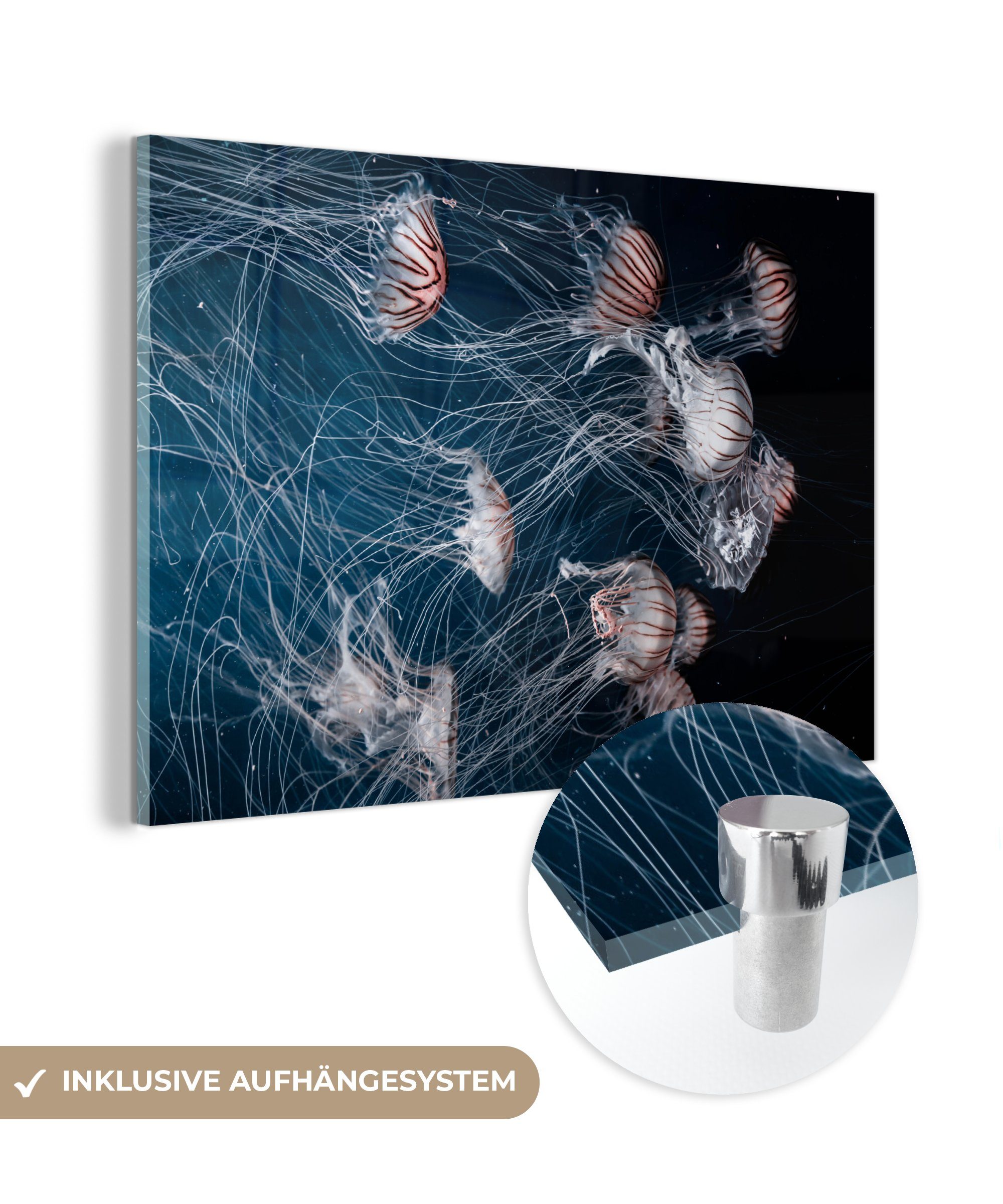 MuchoWow Acrylglasbild Meerestiere - Quallen - Wasser, (1 St), Acrylglasbilder Wohnzimmer & Schlafzimmer