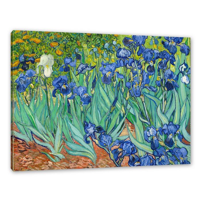Pixxprint Leinwandbild Vincent Van Gogh - Schwertlilien Wanddekoration (1 St) Leinwandbild fertig bespannt inkl. Zackenaufhänger