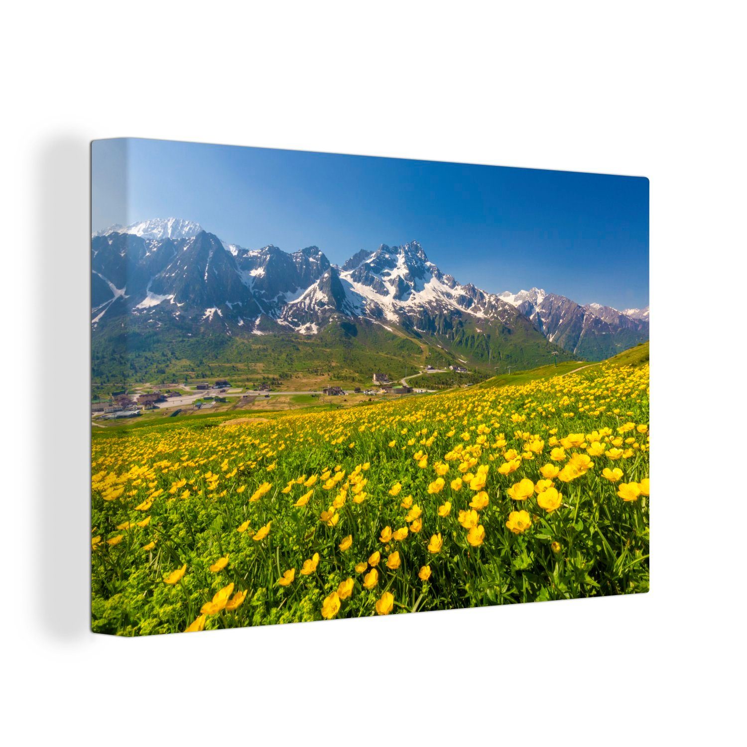 OneMillionCanvasses® Leinwandbild Blumen - Schnee - Alpen, (1 St), Wandbild Leinwandbilder, Aufhängefertig, Wanddeko, 30x20 cm