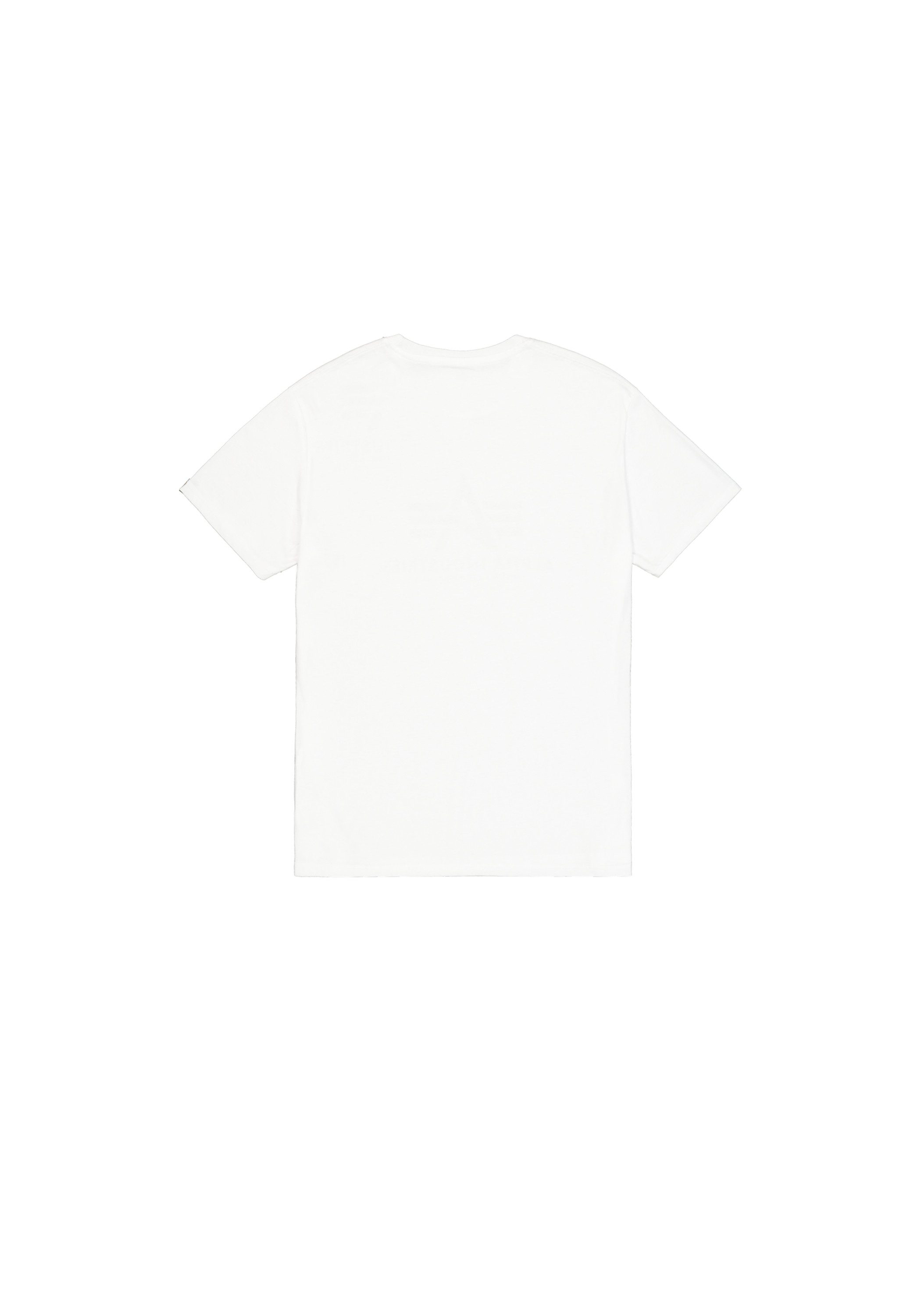 Alpha Industries T-Shirt Basic T-Shirt BL günstig online kaufen