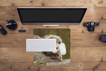 MuchoWow Gaming Mauspad Virginisches Opossum mit Jungtier (1-St), Mousepad mit Rutschfester Unterseite, Gaming, 40x40 cm, XXL, Großes