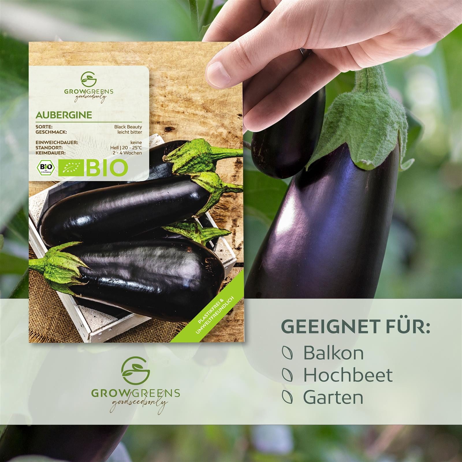 Growgreens Gemüsesamen BIO Aubergine Samen (Black günstig online kaufen