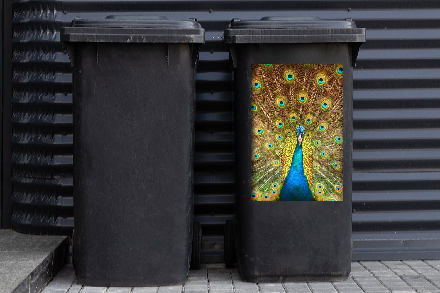- St), Mülltonne, Container, (1 Blau Wandsticker Pfau Vogel MuchoWow Mülleimer-aufkleber, Abfalbehälter Sticker, -