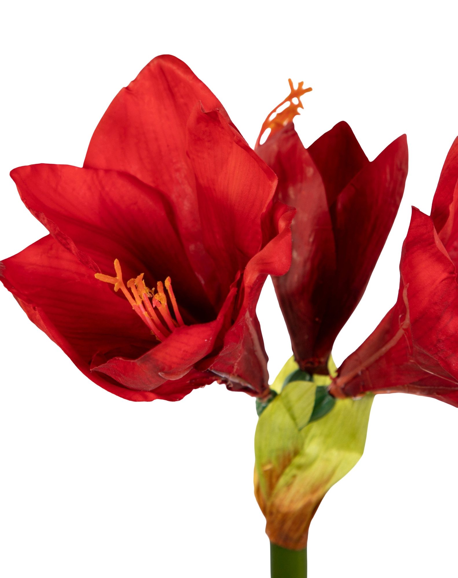Kunstblume Amaryllis Real Touch 68cm GA Dekoblumen künstliche Blumen Ritterstern, Seidenblumen Roß, Höhe 68 cm, Farbe: Rot – Bild 4 von 4