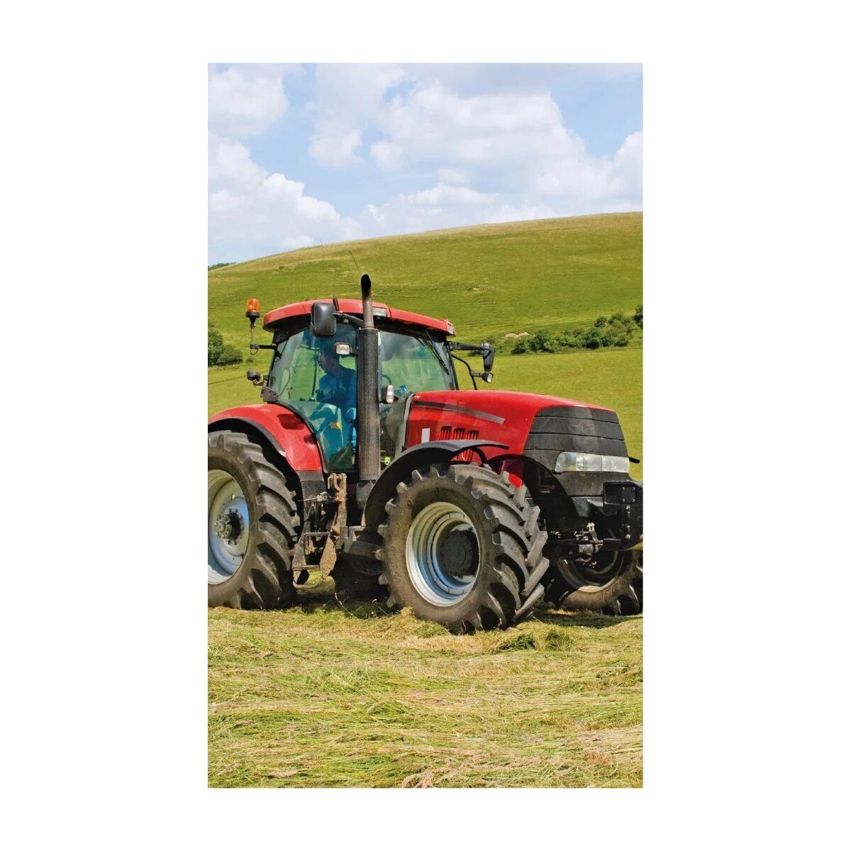 Wisam Badetücher Traktor Red Handtuch, Gesichtshandtuch, Handtuch 30x50cm, 100% Baumwolle (1-St)