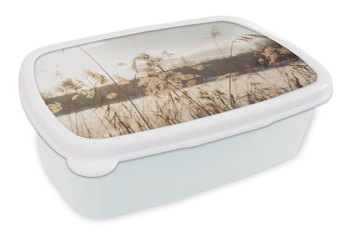MuchoWow Lunchbox Wasser - Pampasgras - Pflanzen, Kunststoff, (2-tlg), Brotbox für Kinder und Erwachsene, Brotdose, für Jungs und Mädchen weiß