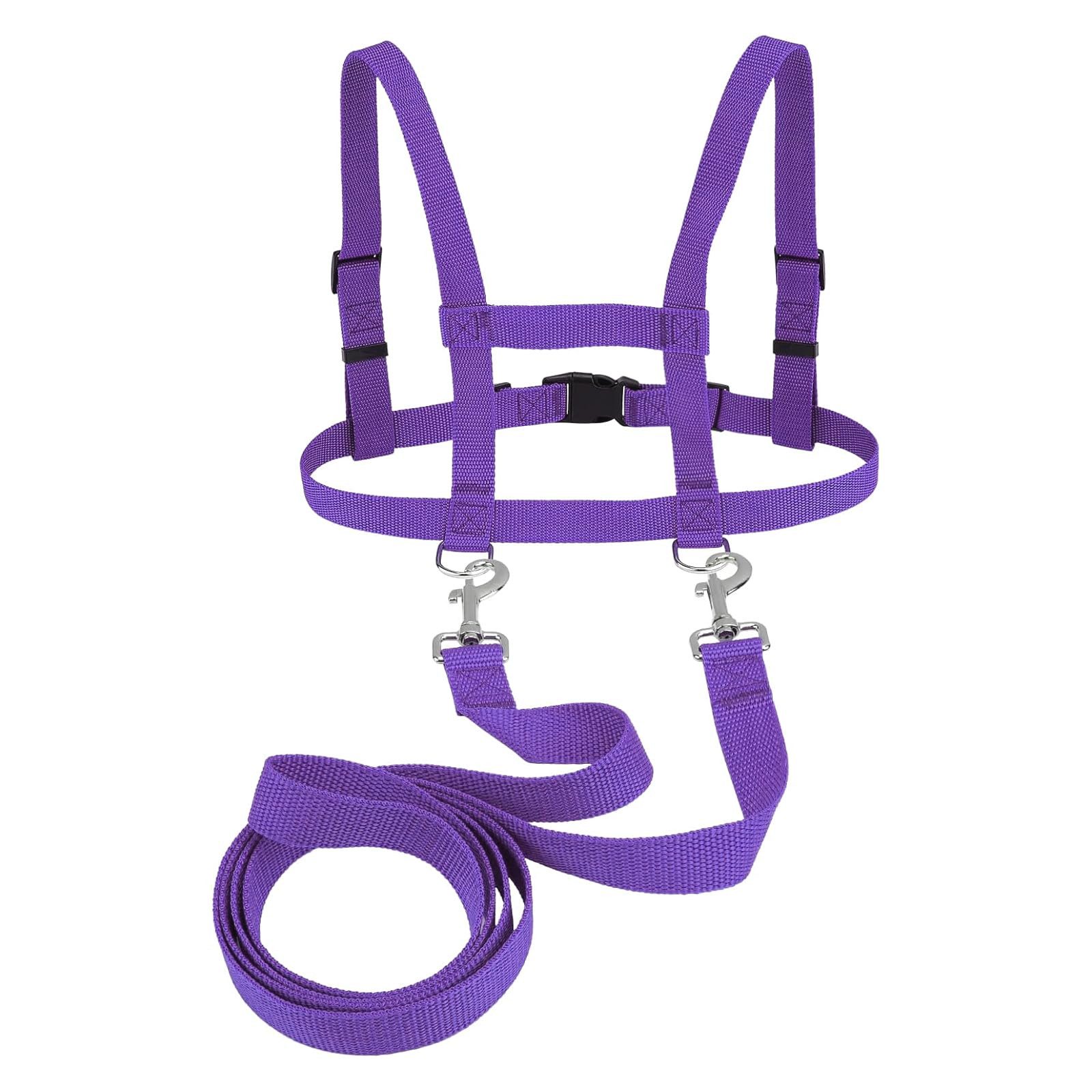 Coonoor Spielzeug-Gartenset Outdoor-Spielzeug Kinder Pferdeleine zum Spiele günstig online kaufen