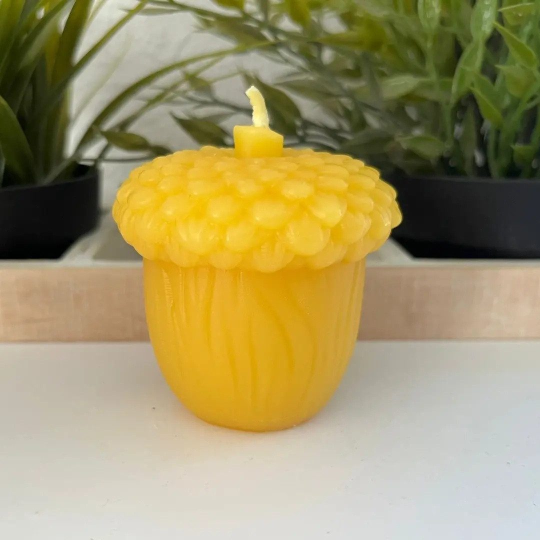 Aspinaworld Bienenwachskerze Eichel Kerze 7 cm natur – genoppte Hütchen-Kappe (1-tlg)