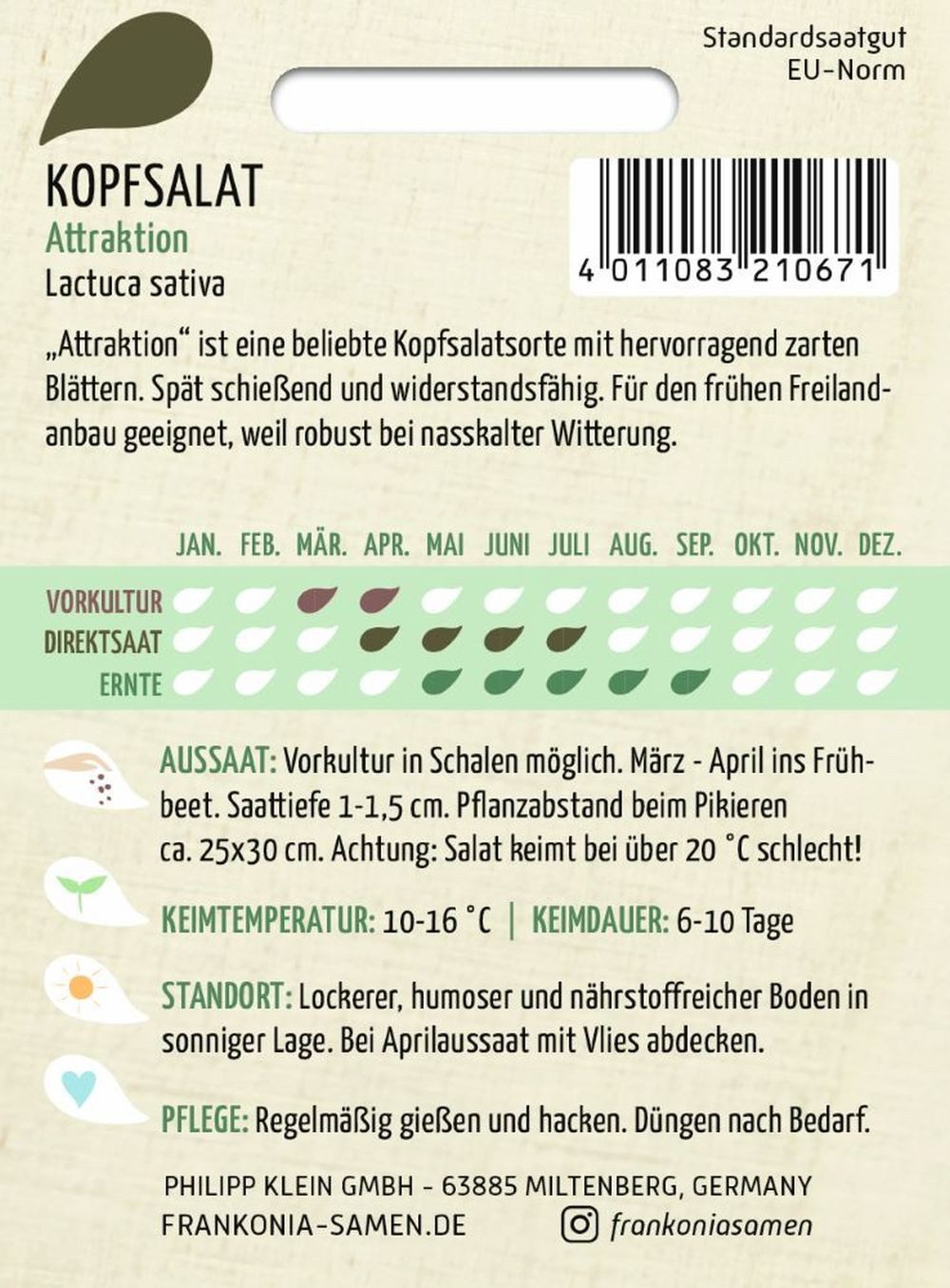 FRANKONIA Gemüsesamen Kopfsalat, Attraktion - Saatgut Salat-Samen Samen, Lactuca sativa – Bild 2 von 2
