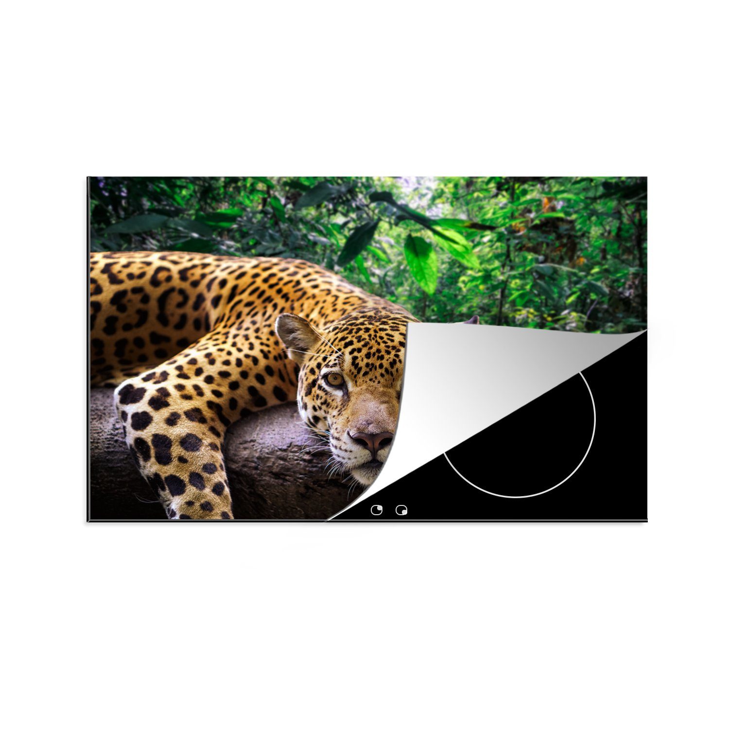 MuchoWow Herdblende-/Abdeckplatte Jaguar - Kofferraum - Dschungel, Vinyl, (1 tlg), 81x52 cm, Induktionskochfeld Schutz für die küche, Ceranfeldabdeckung