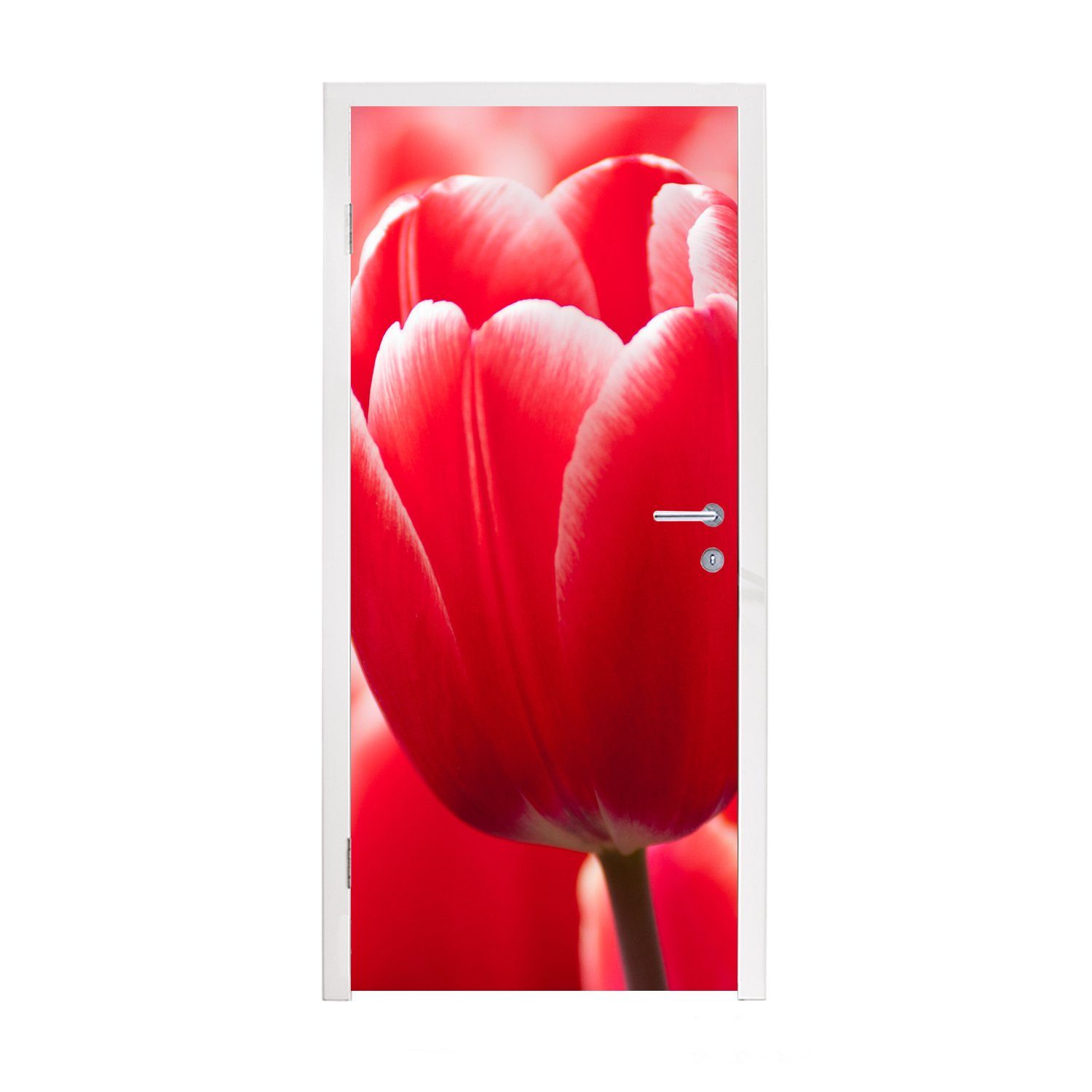 MuchoWow Türtapete Rote Tulpe in Kagoshima, Japan, Matt, bedruckt, (1 St), Fototapete für Tür, Türaufkleber, 75x205 cm