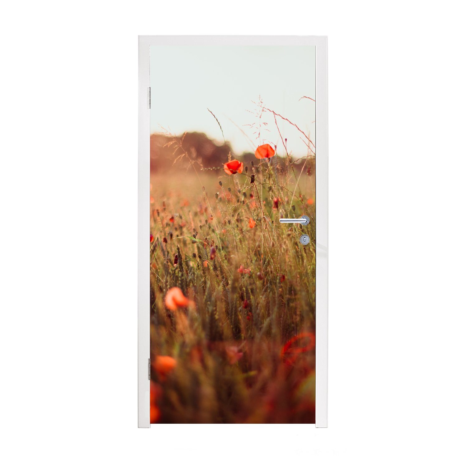 Rot, Matt, Sonnenuntergang bedruckt, MuchoWow Blumen - Fototapete für Türtapete (1 - Tür, St), cm Türaufkleber, 75x205