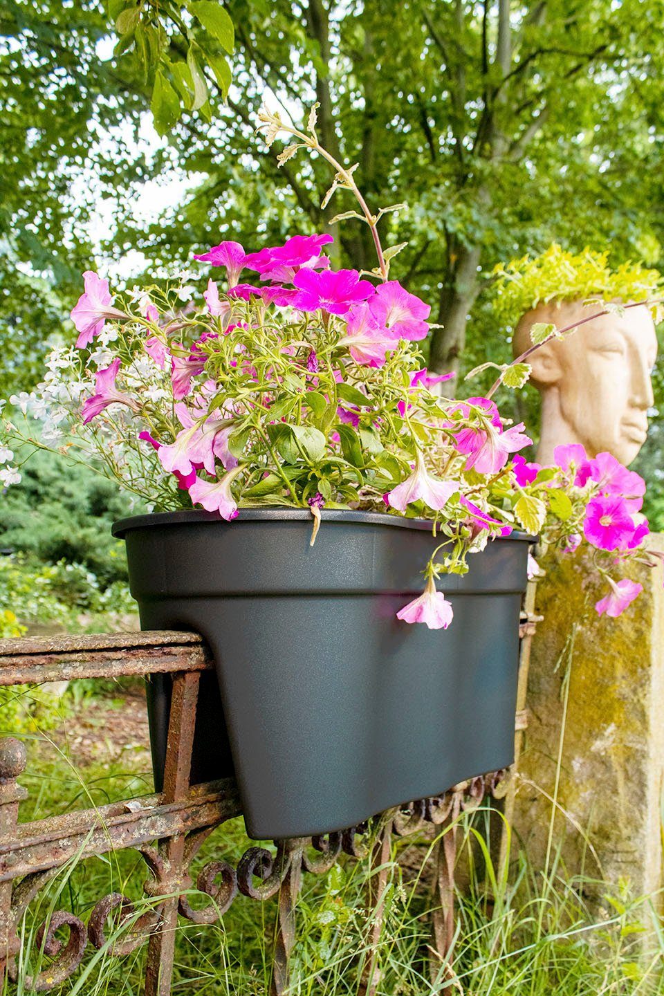 KHW Balkonkasten Flowerclip XXL (Set, 2 St), BxTxH: 57,5x27,7x27 cm – Bild 5 von 5