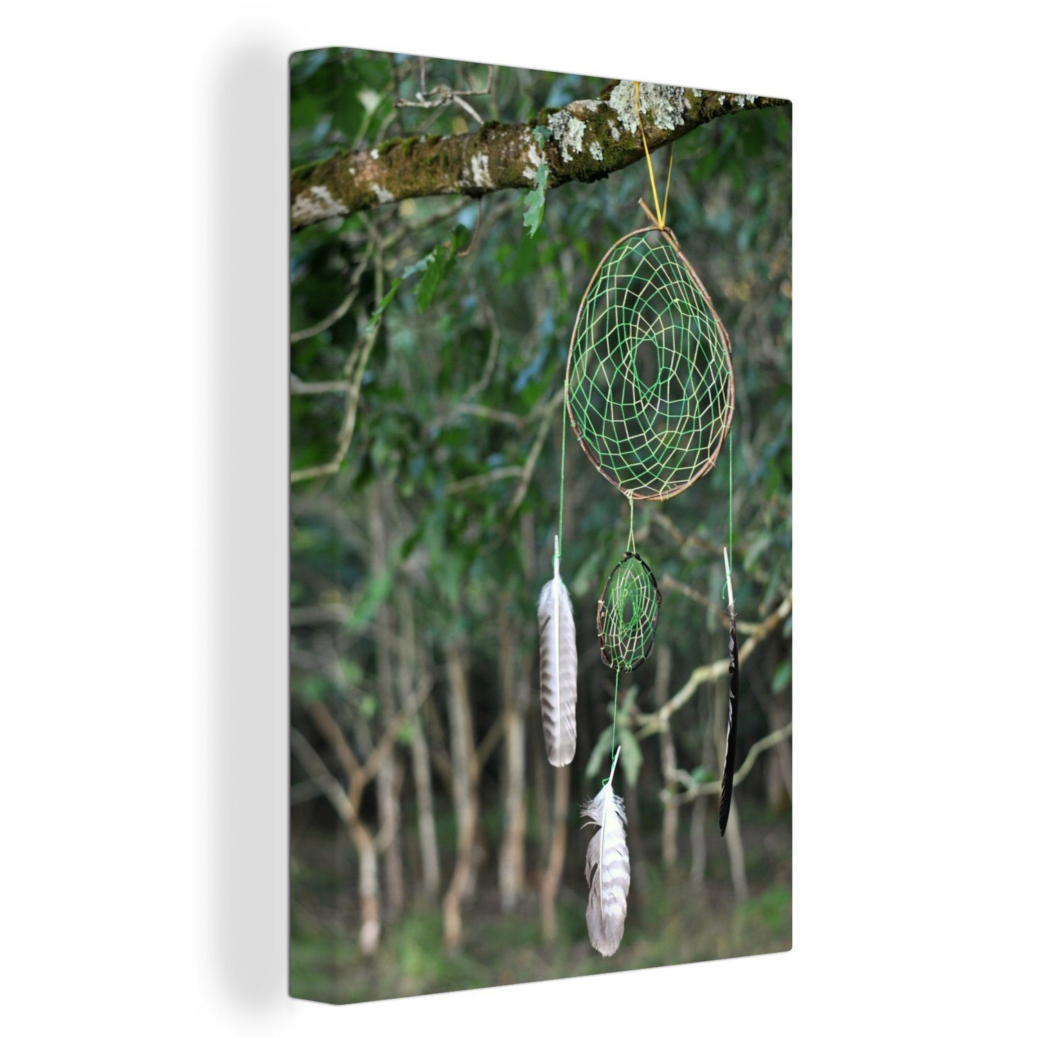 OneMillionCanvasses® Leinwandbild Ein grüner Traumfänger in einem Baum, (1 St), Leinwandbild fertig bespannt inkl. Zackenaufhänger, Gemälde, 20x30 cm