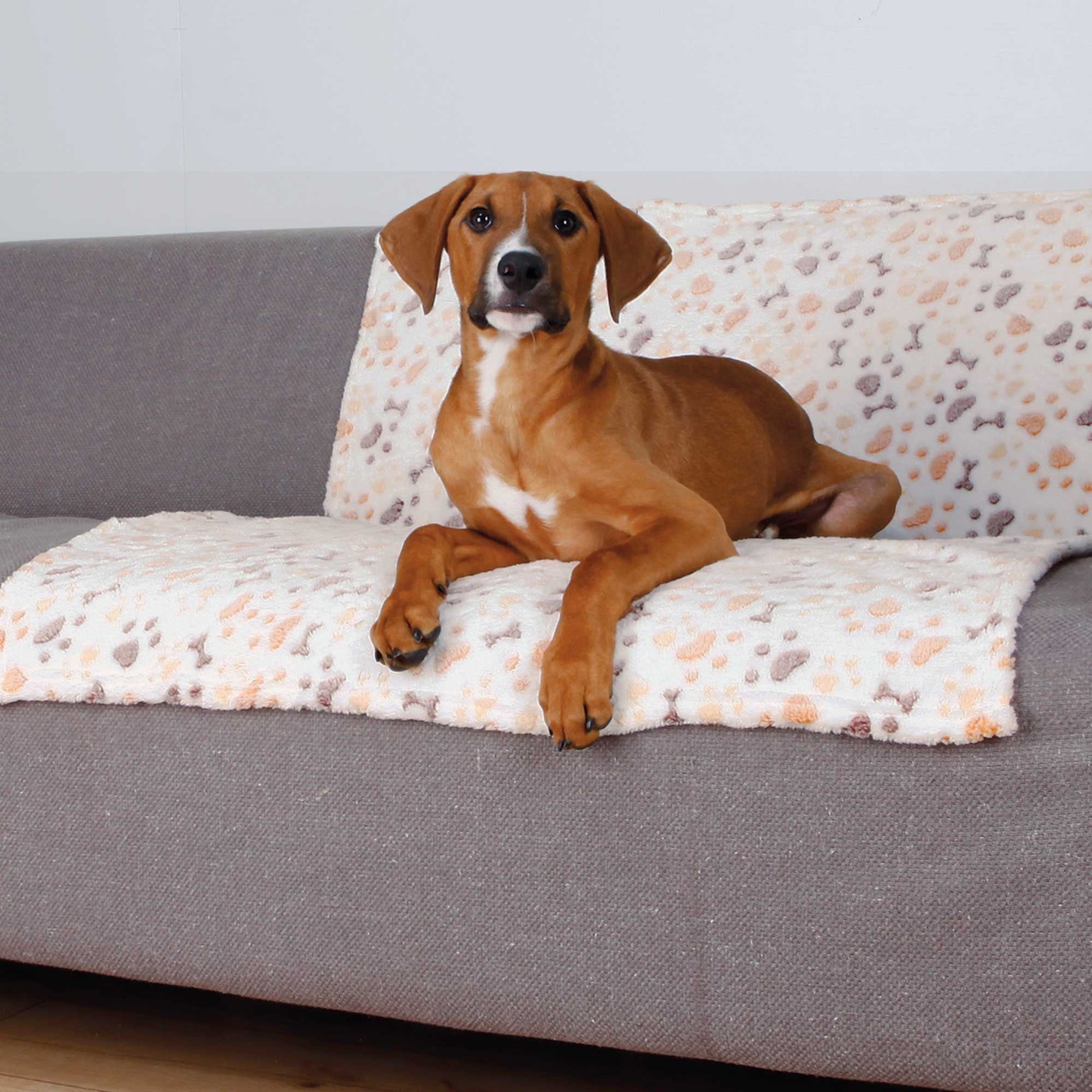 TRIXIE Tier-Schondecke Hundedecke Lingo günstig online kaufen