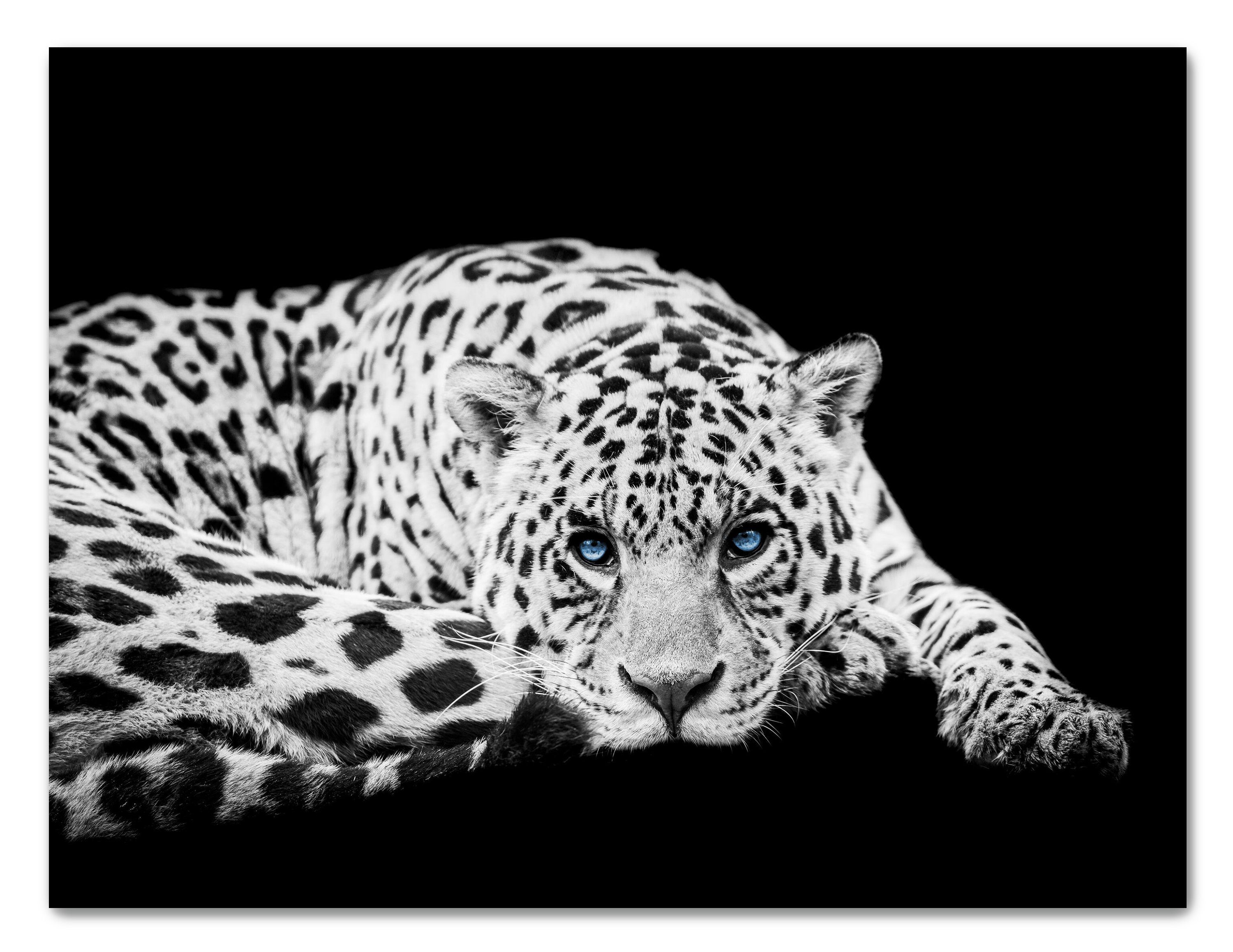 wandmotiv24 Leinwandbild Schwarz-Weiß, Leopard, Schwarz & Weiss (1 St),  Wandbild, Wanddeko, Leinwandbilder in versch. Größen