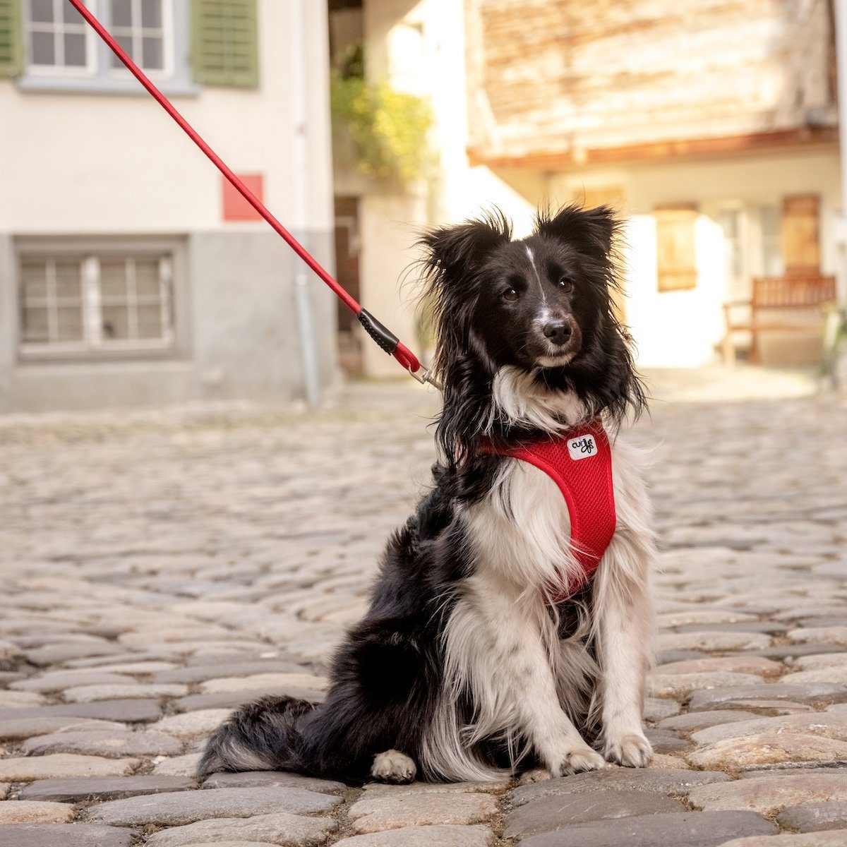 Curli Hunde-Geschirr Vest Geschirr Magnetic V2 rot günstig online kaufen